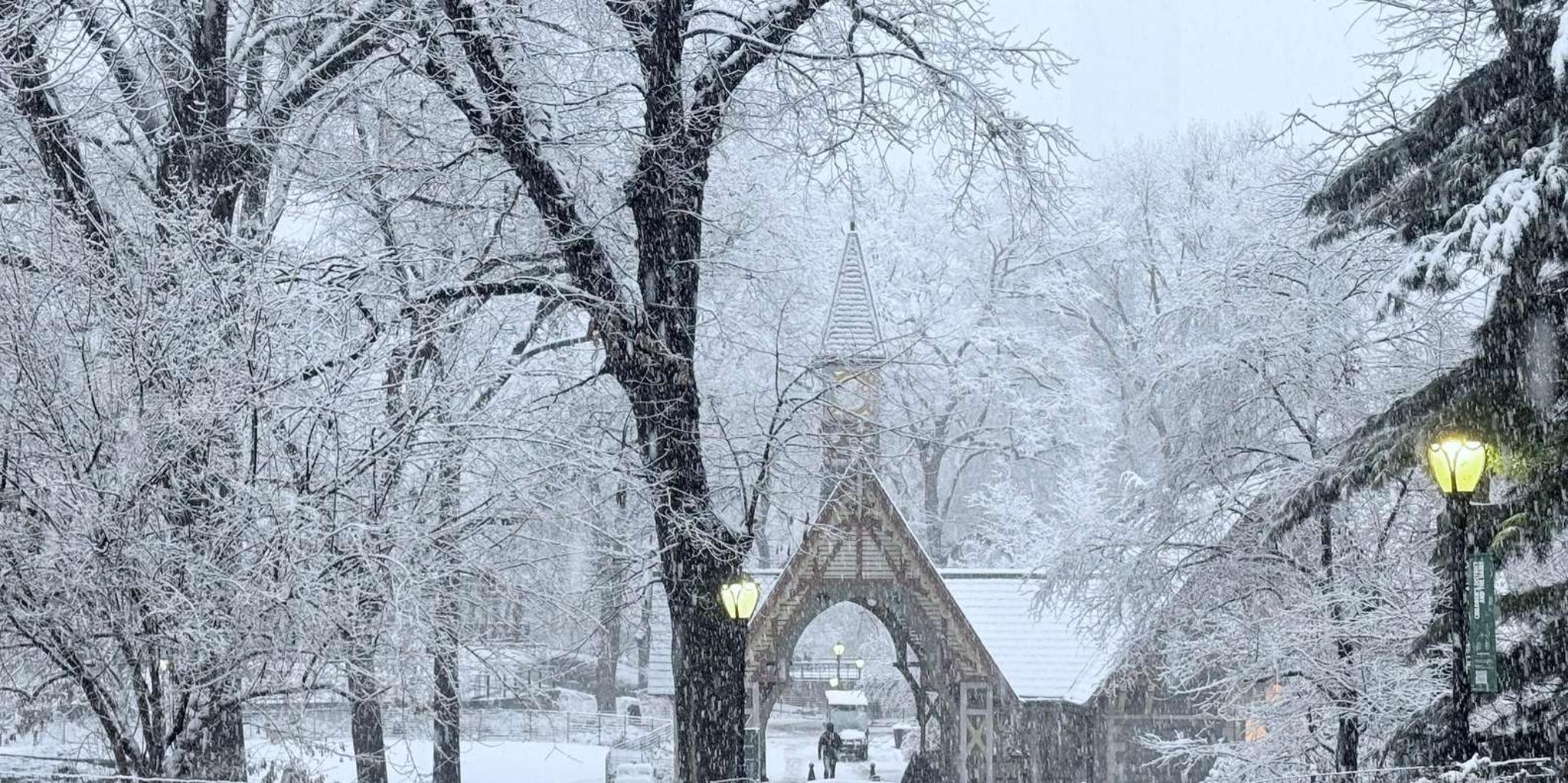 New York Central Park Bike Tour with Movie Locations - Image 2
