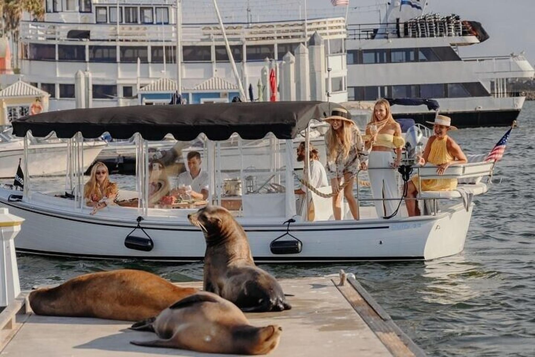 Marina Del Rey E-Boat Cruise with Wine and Charcuterie - Image 2