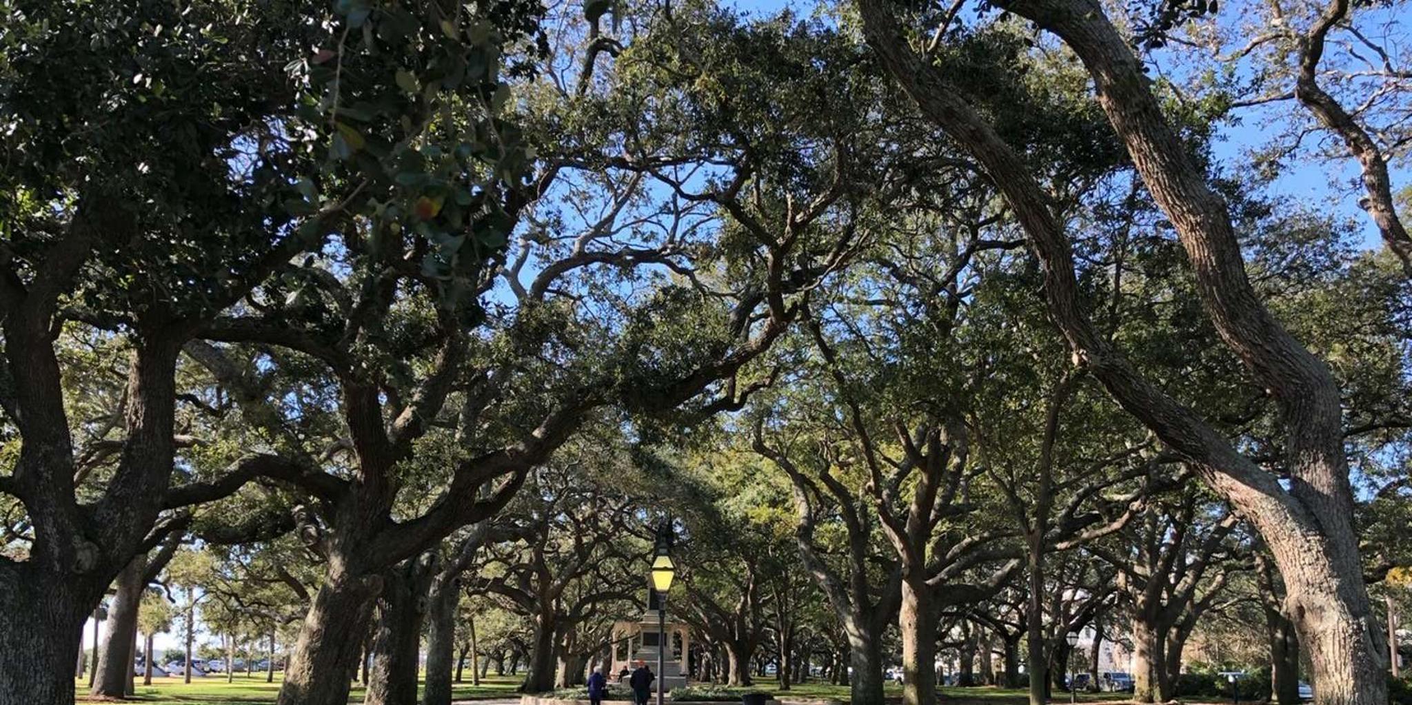 Charleston Walking History and Bar Tour - Image 2