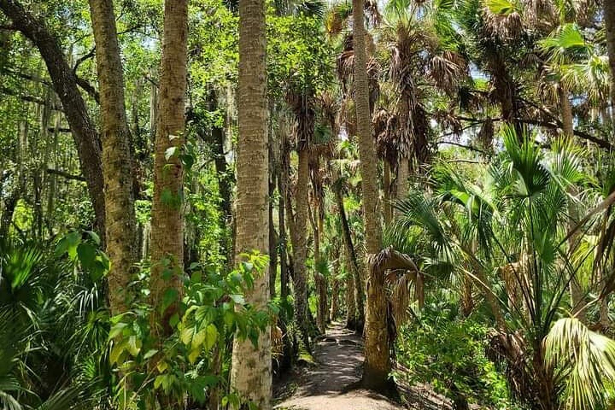 Florida Backcountry Day Hike - Image 2