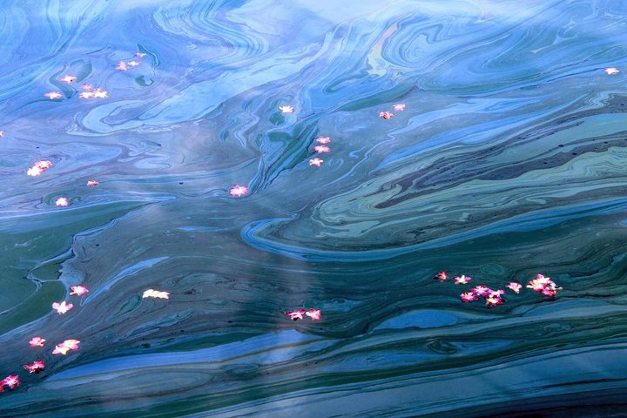 Honolulu Pearl Harbor Tour with Submarine Access - Image 6