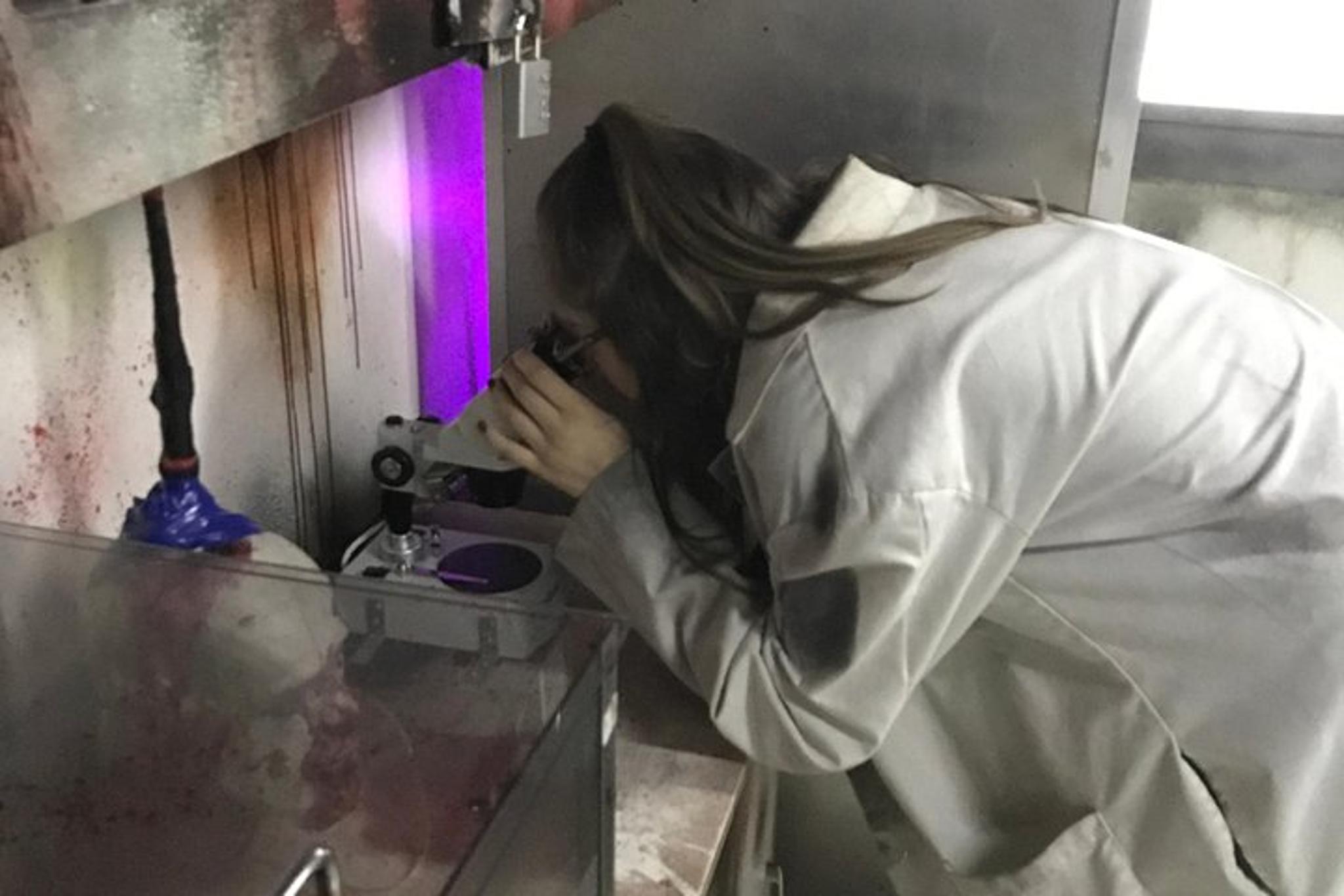 San Antonio Zombie Apocalypse Escape Room - Image 4