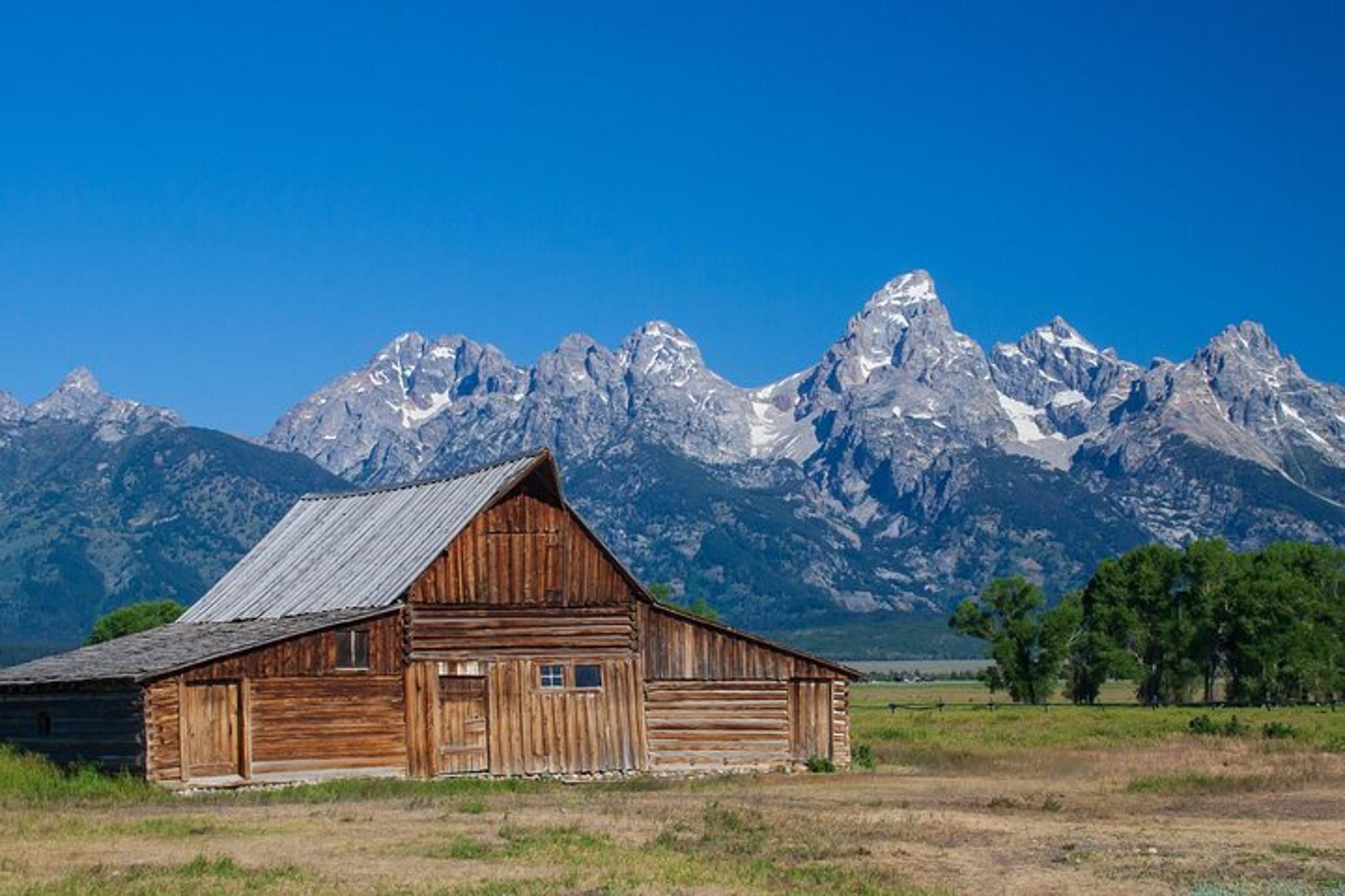 Jackson Hole Wildlife Safari