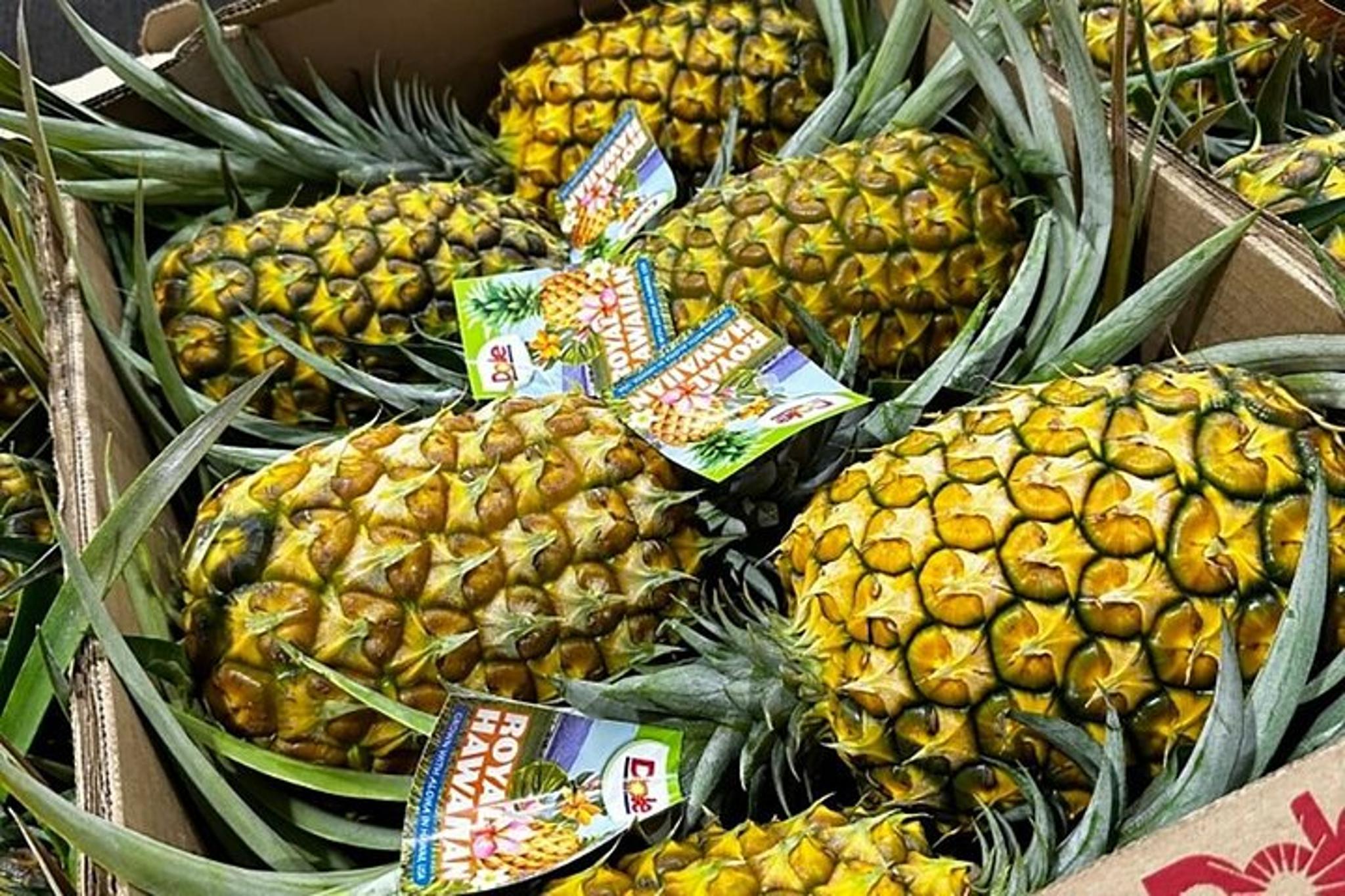 Oahu Pearl Harbor and Circle Island Tour - Image 6