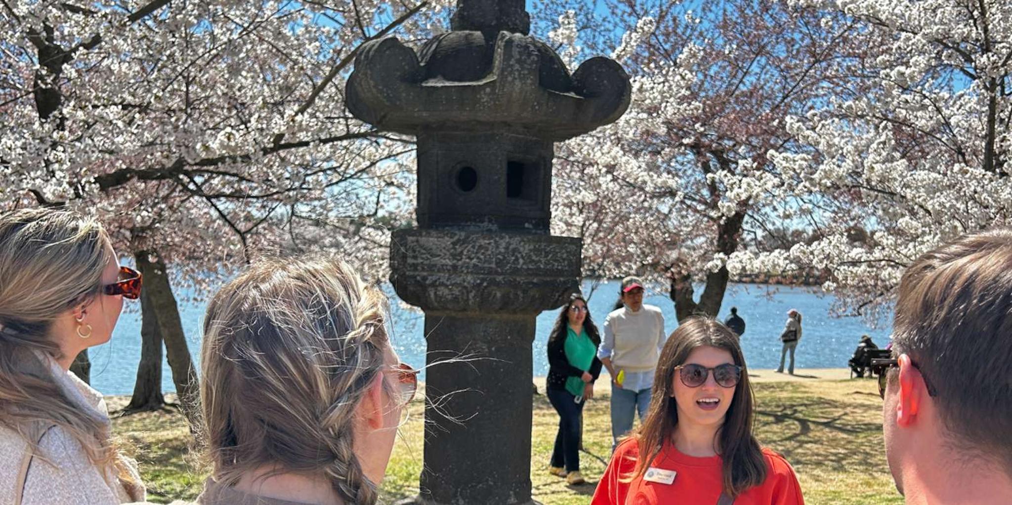 Washington DC Cherry Blossoms Walking Tour - Image 6