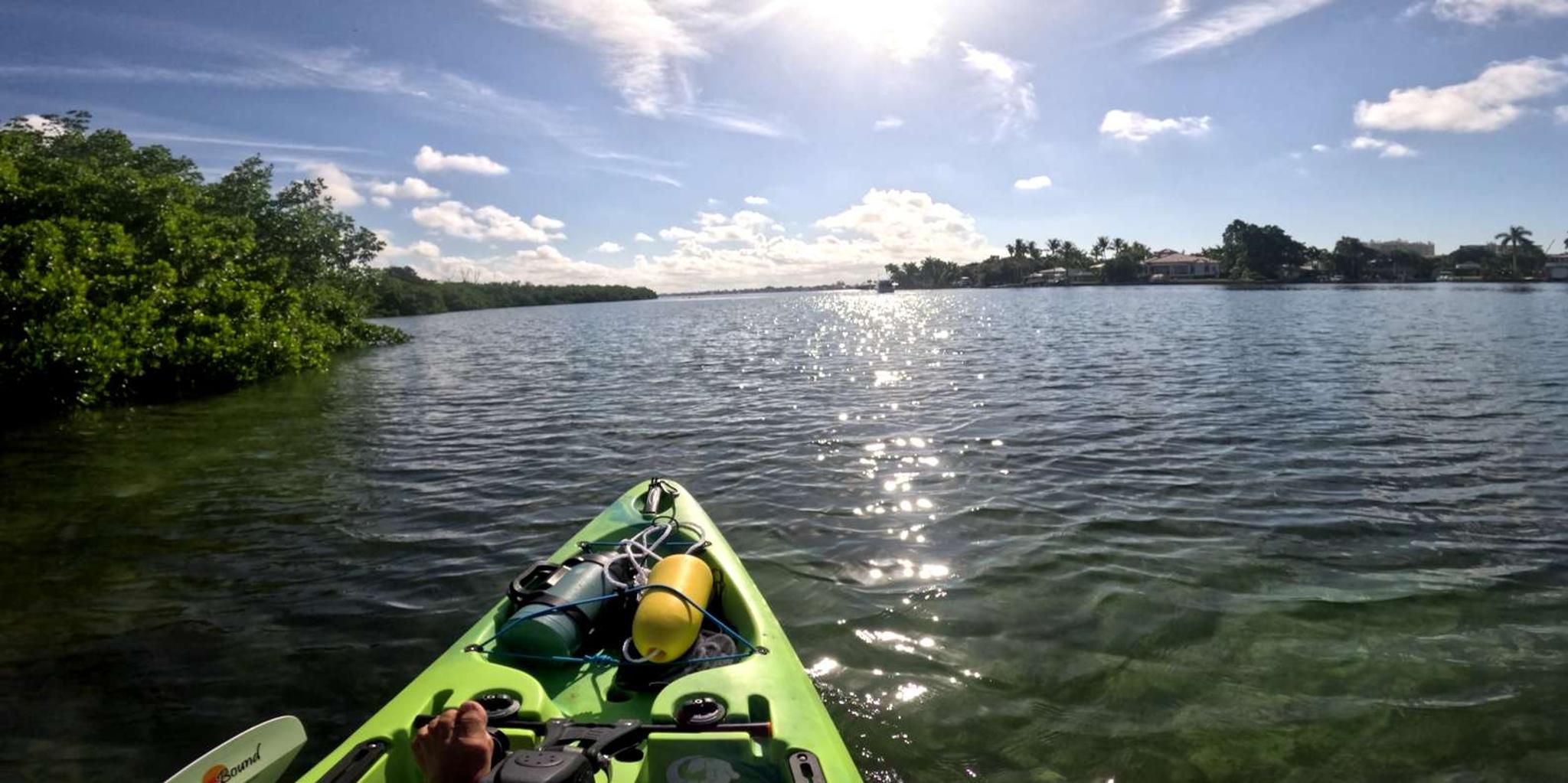 Anna Maria Pedal Kayak Eco-Tour - Image 6