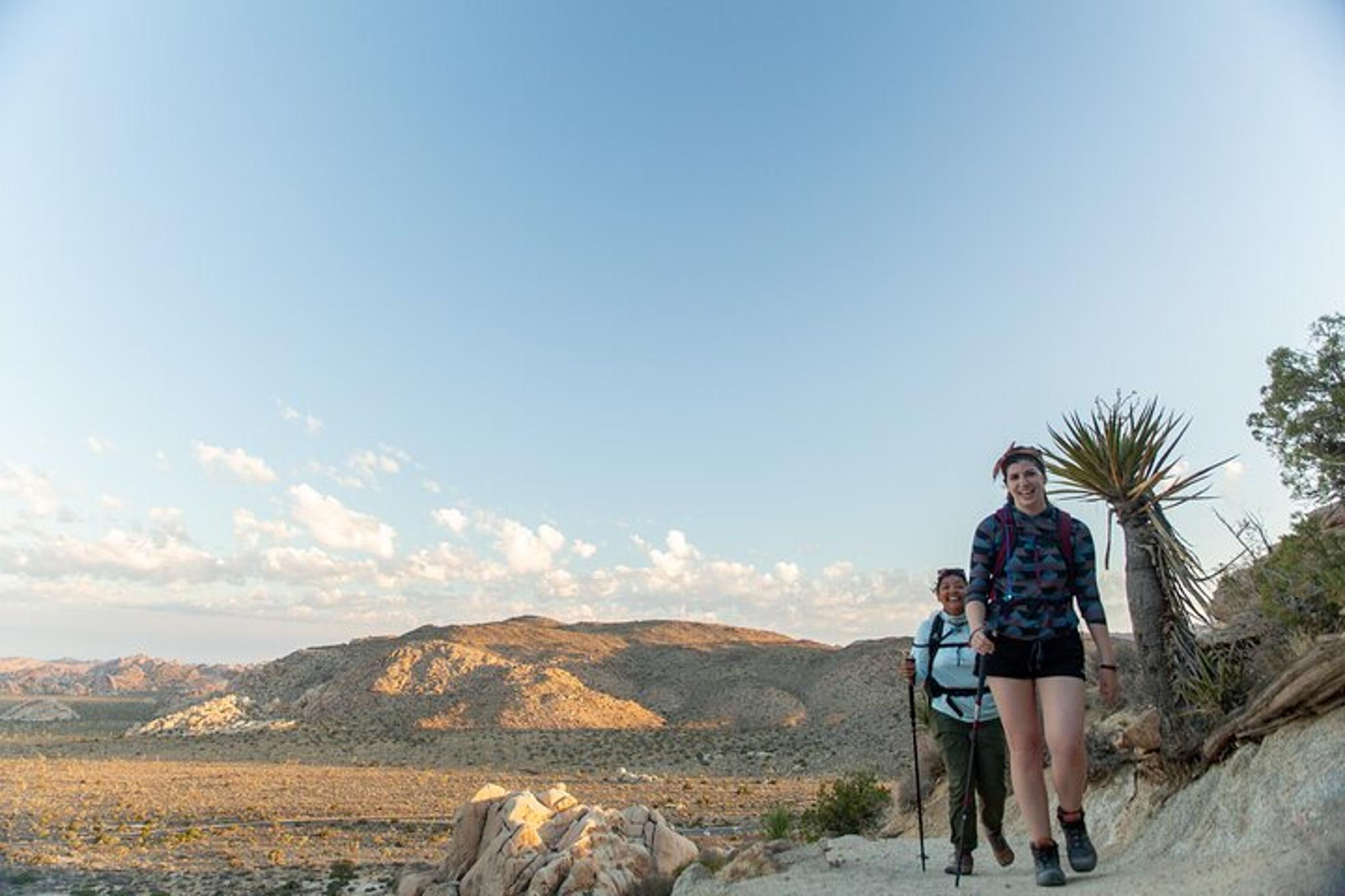 Joshua Tree Small Group Tour and Hike