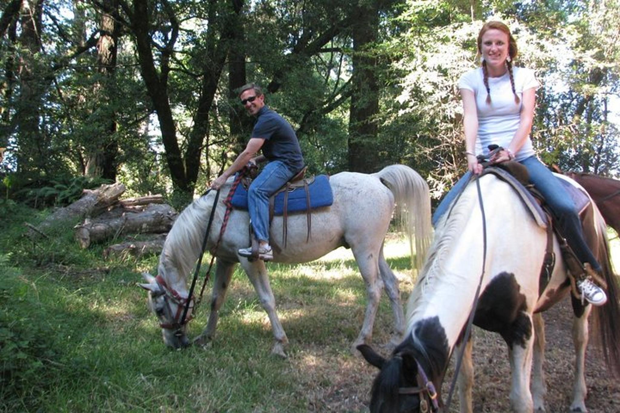 San Francisco Horseback Riding and Muir Woods Adventure - Image 6