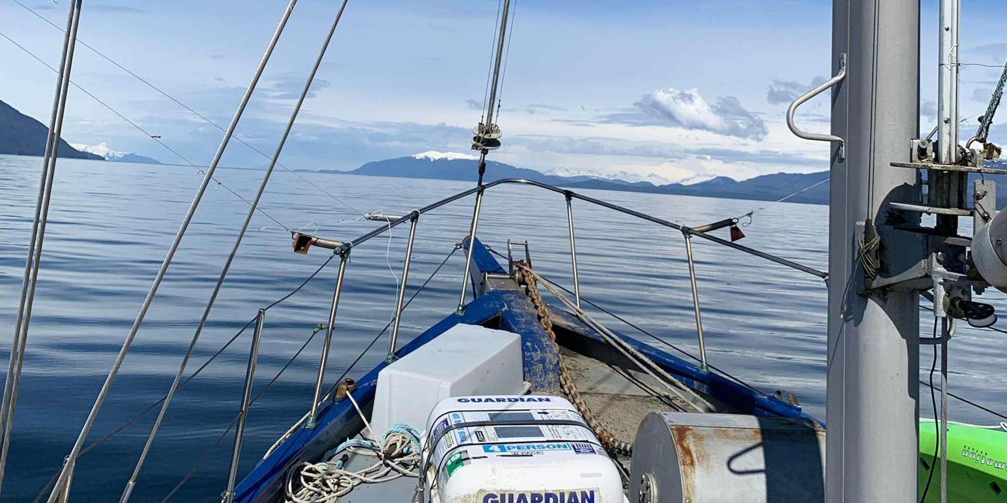 Sitka Whale Watching and Hot Springs Tour