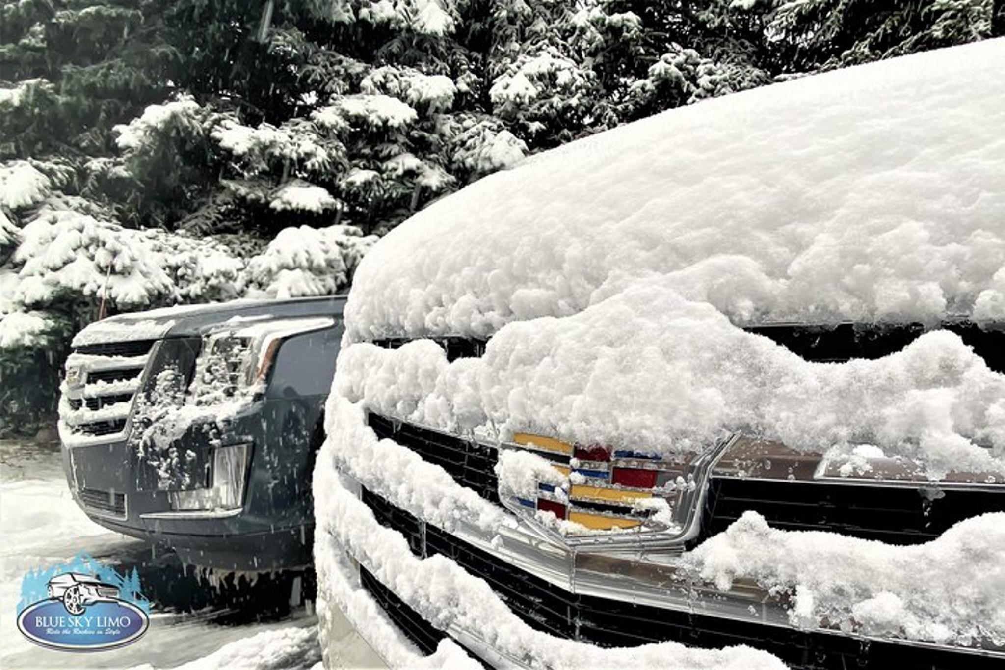 Vail Private Shuttle Service - Image 5