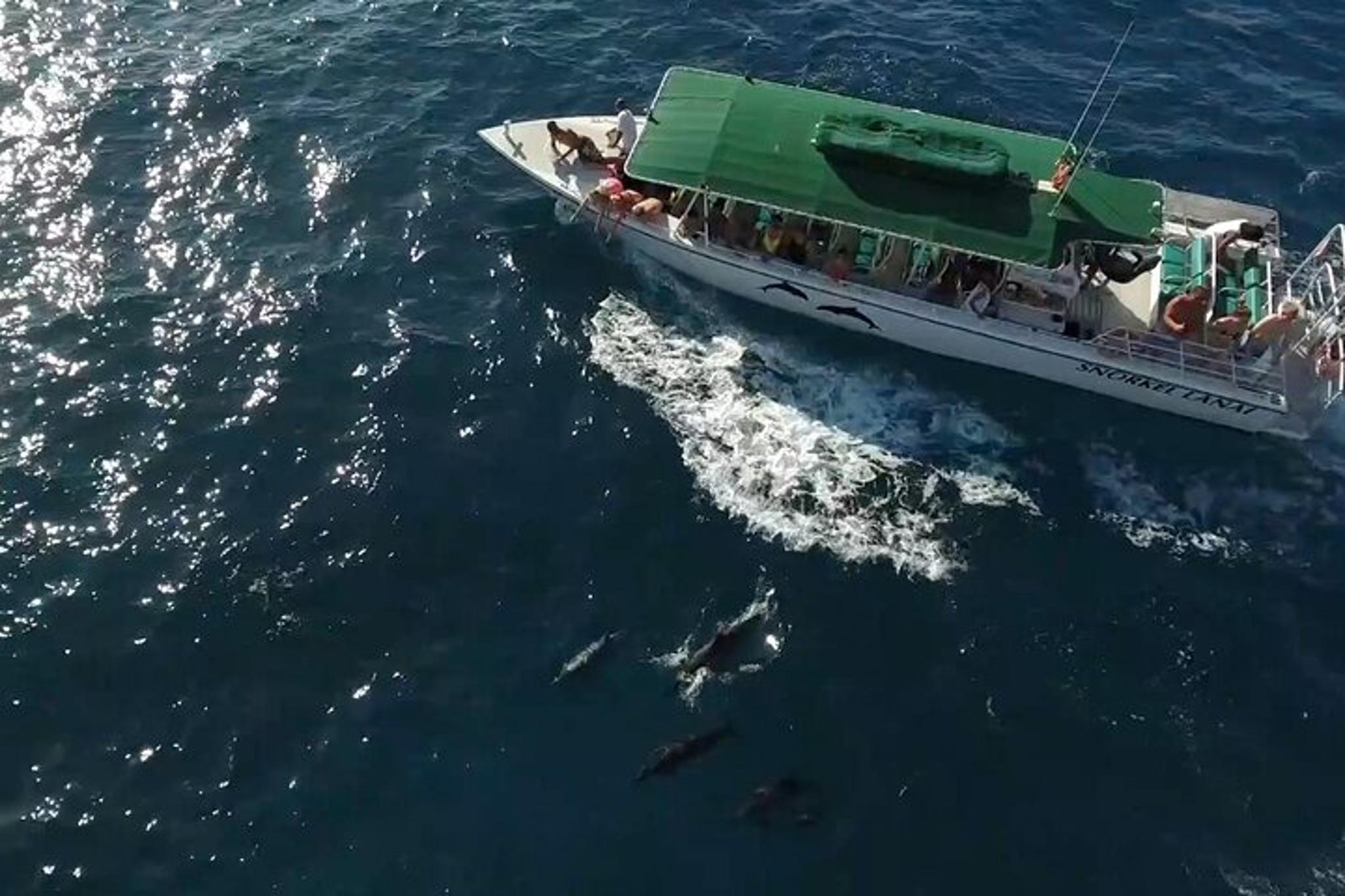 Lanai Snorkel Charter with 3 Stops 7 Hrs - Image 3