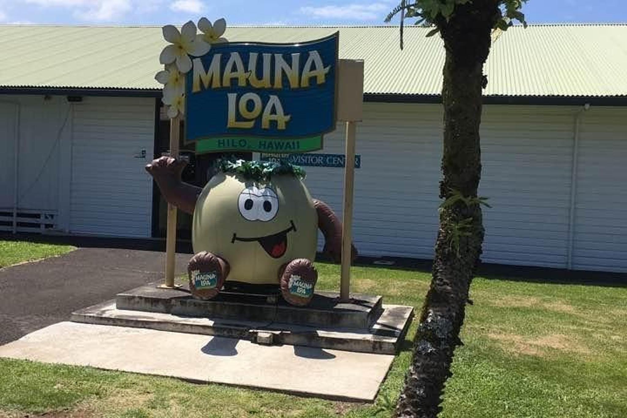 Oahu to Big Island Volcano Tour with Air Ticket - Image 5