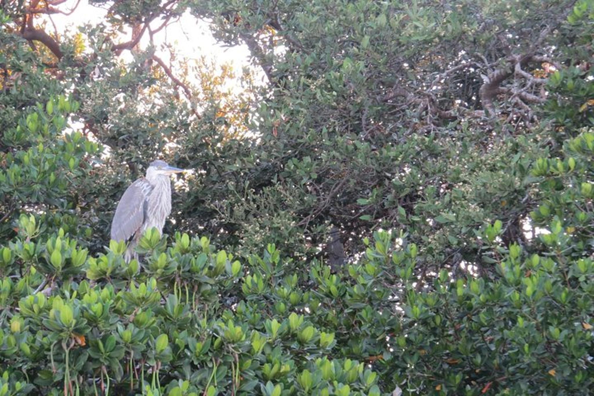 Gulf of Mexico Sunset Cruise - Image 5