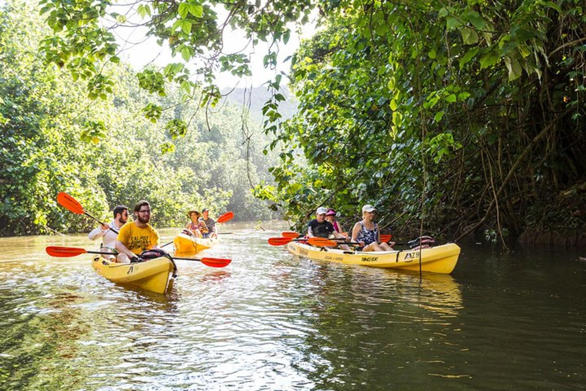 Wailua River Paddle Tour - Image 2
