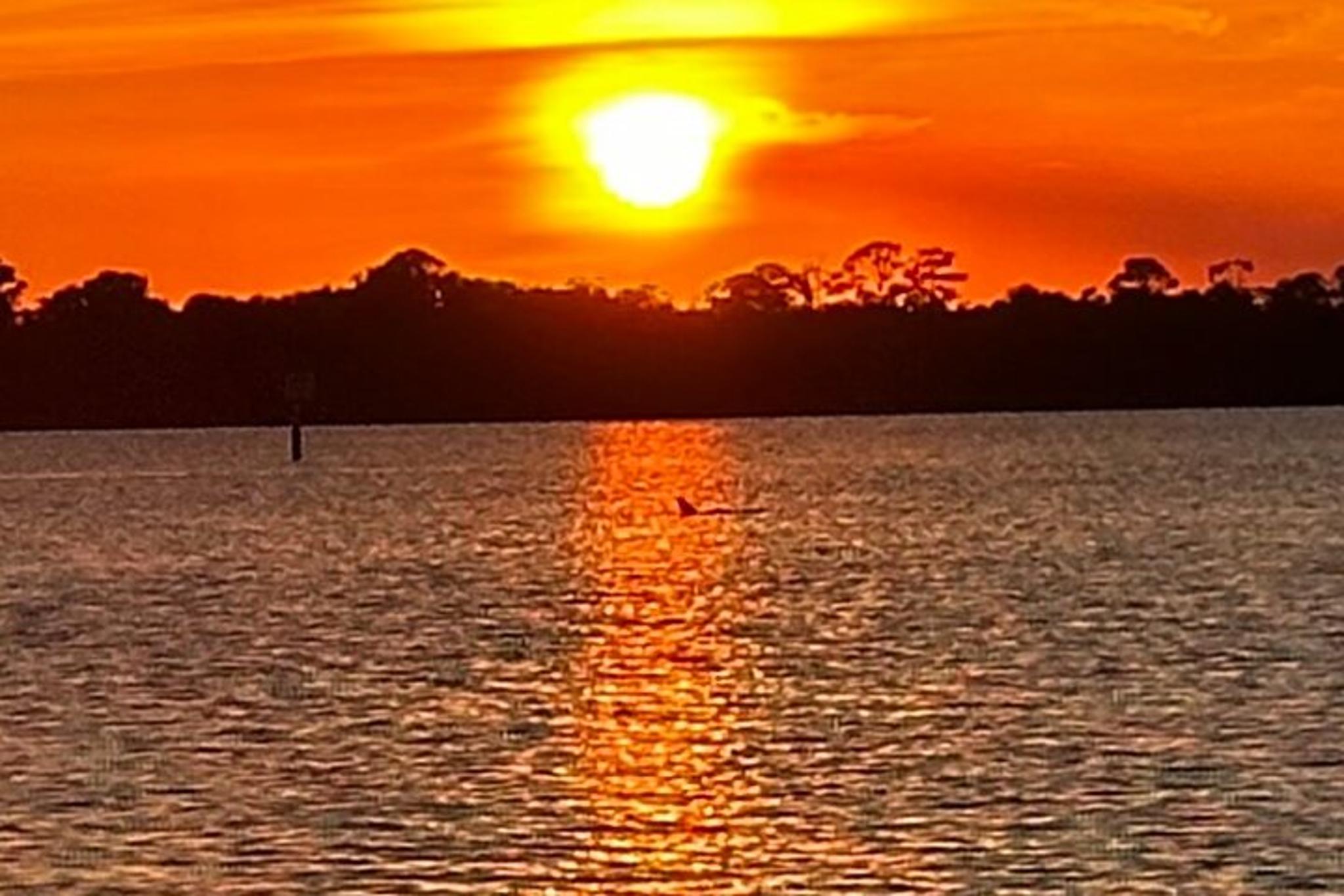 Daytona Beach Sunset Cruise - Image 3