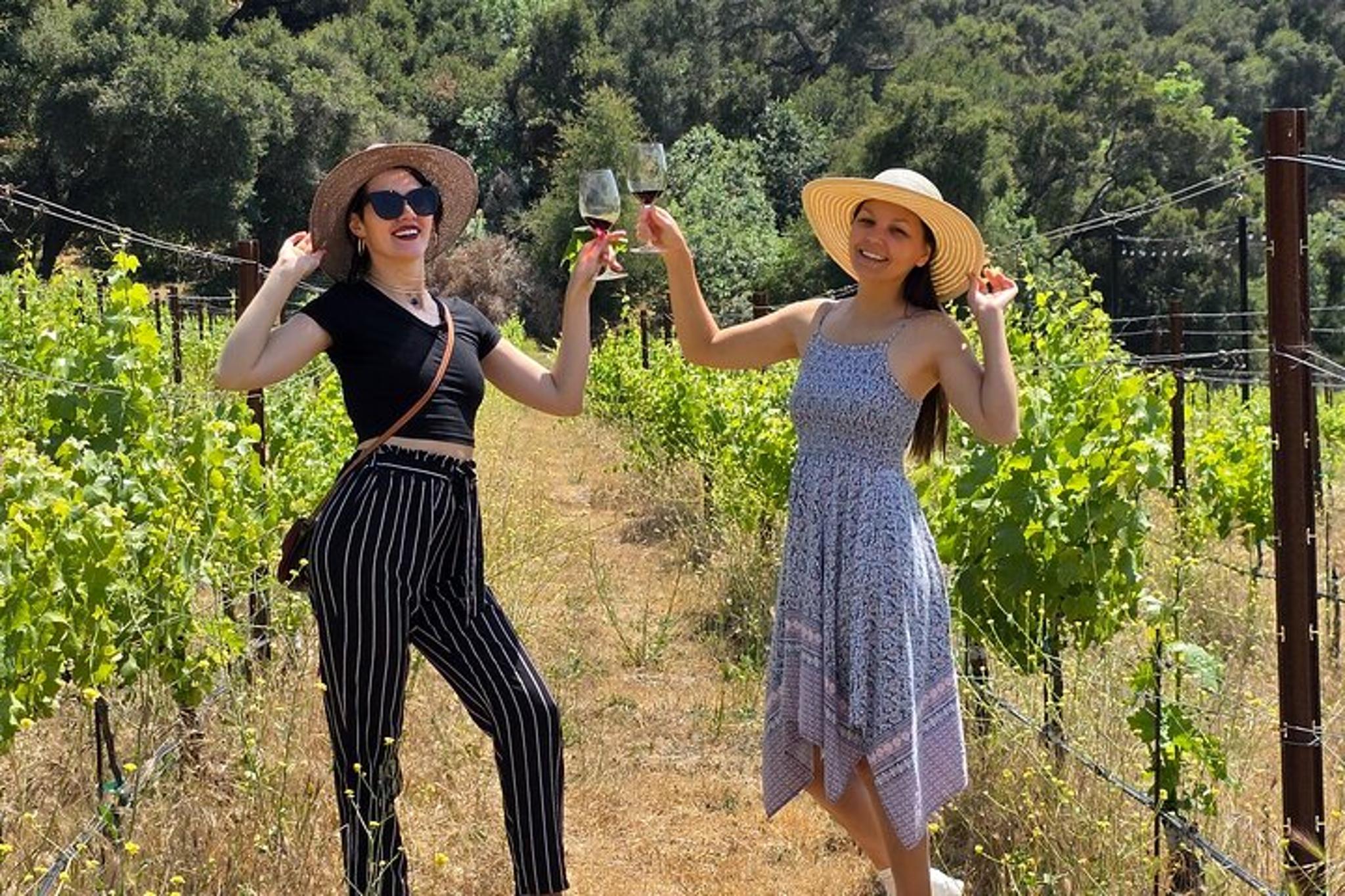 Solvang Wine Tour by Car - Image 2