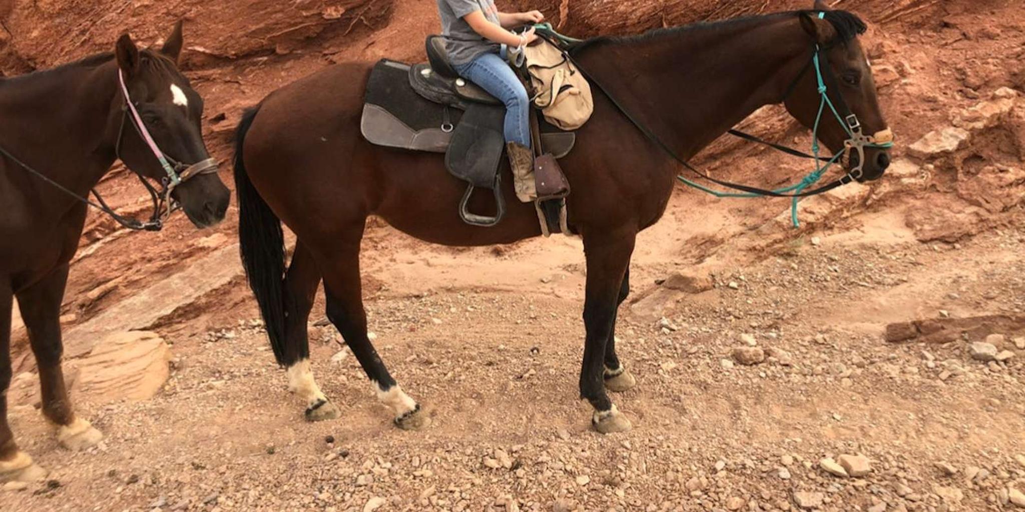 Las Vegas Horseback Riding Tour - Image 3