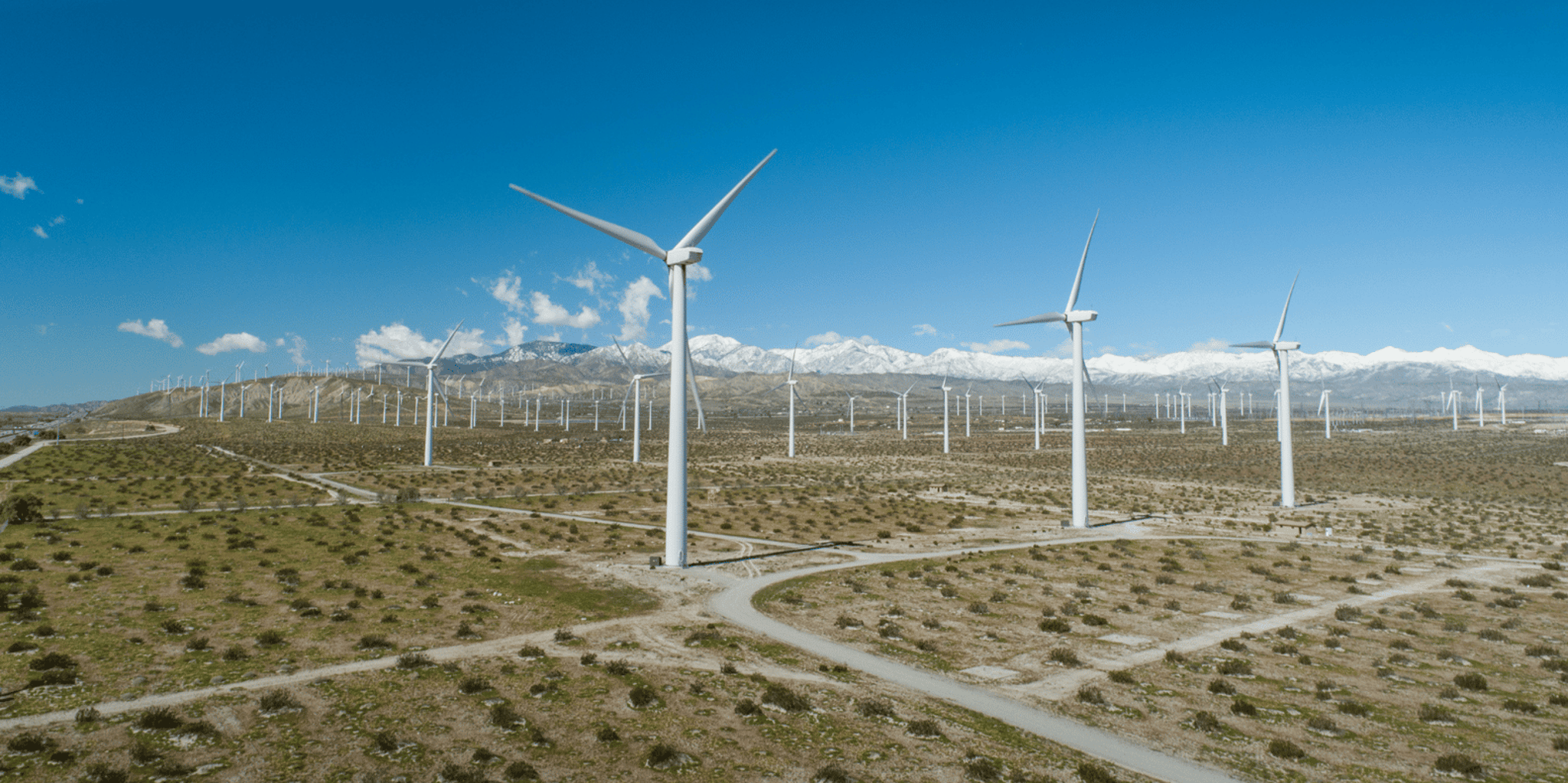 Palm Springs Windmill Golf Cart Tour - Image 5