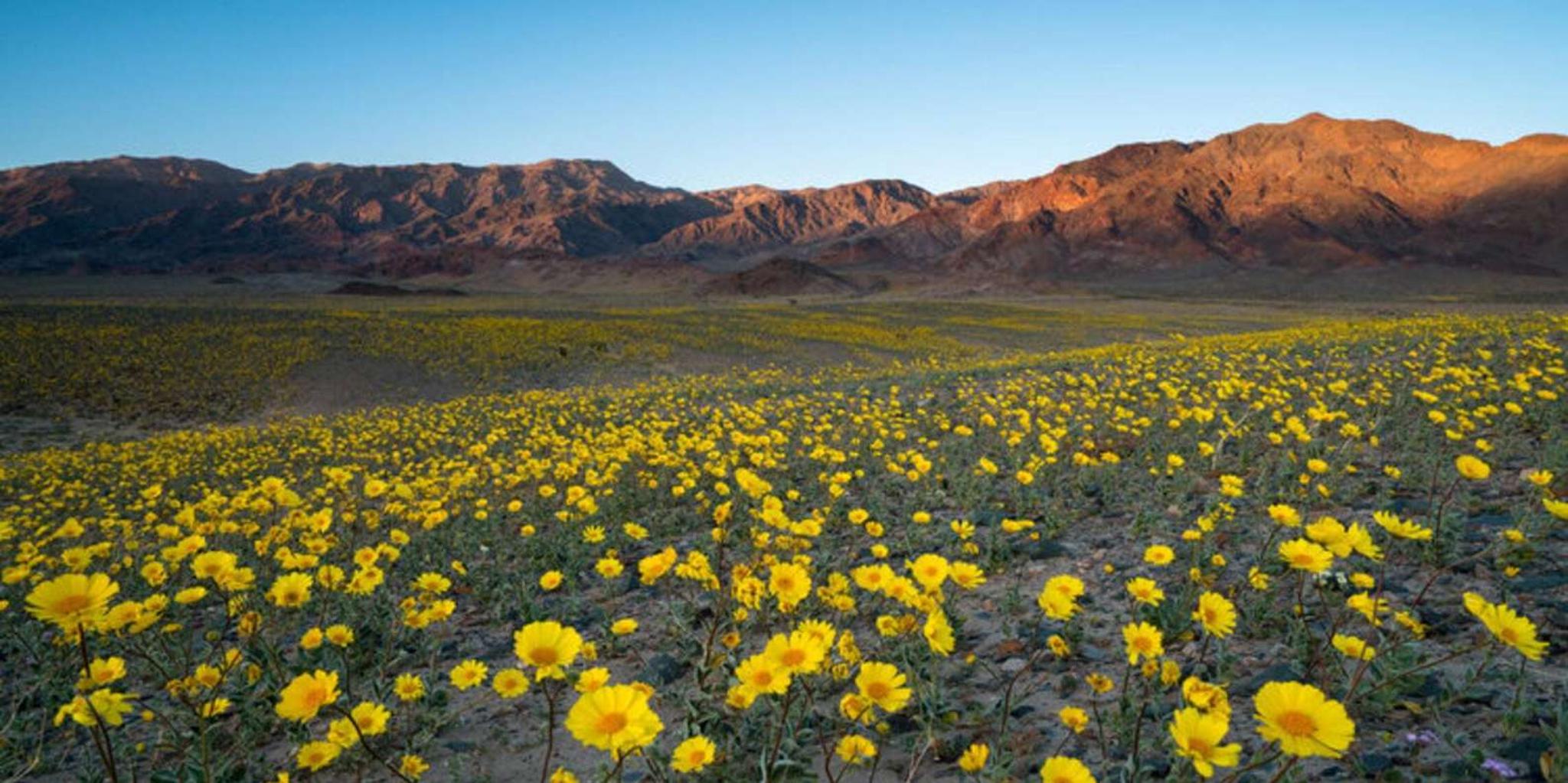Las Vegas Death Valley Group Tour - Image 4