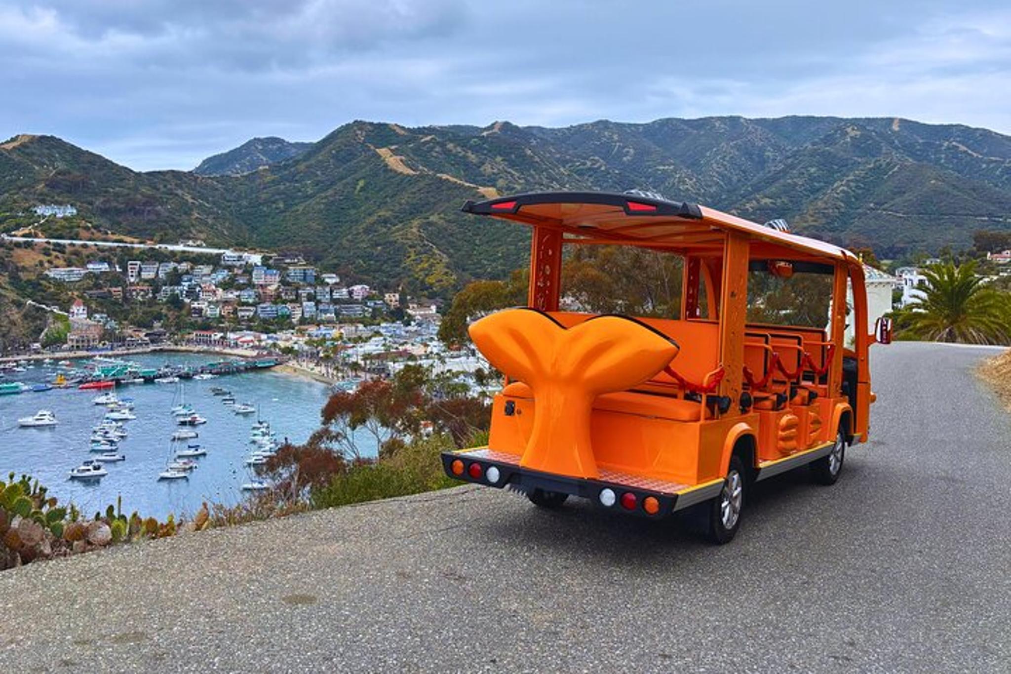Avalon Guided City Tour in a Unique Golf Cart - Image 3