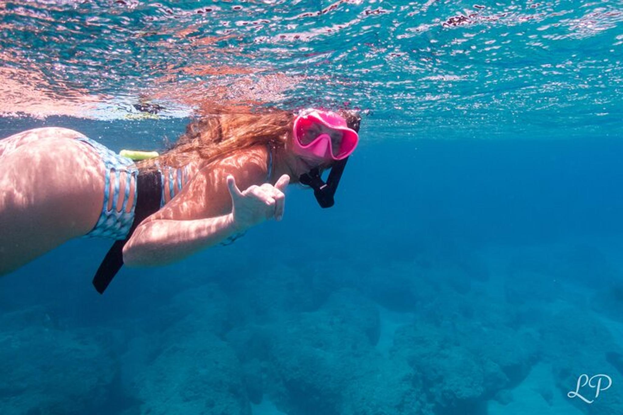 West Maui Snorkel Tour with Turtle Gardens - Image 4