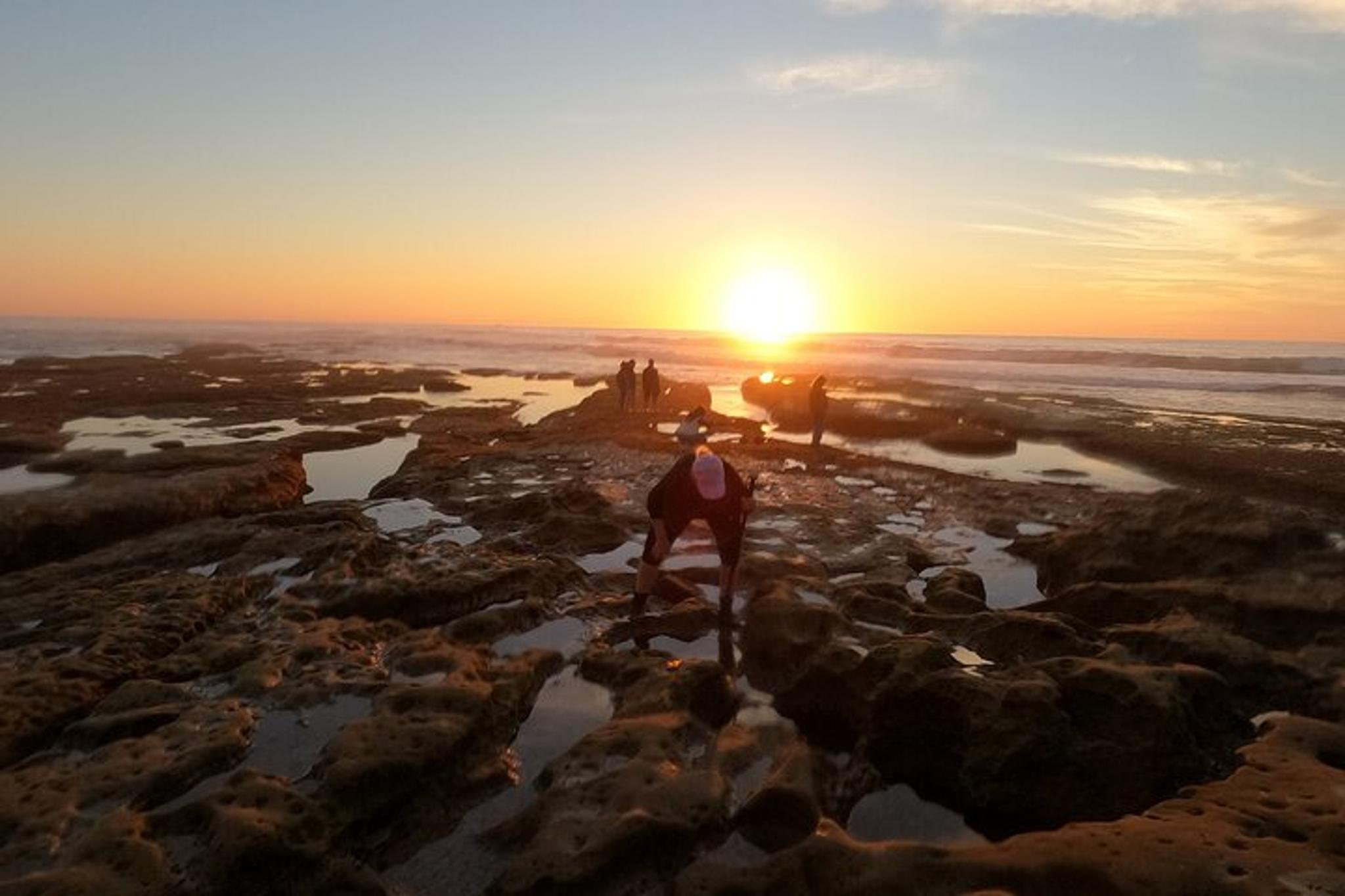 San Diego Tide Pool Tour with Marine Biologist - Image 3