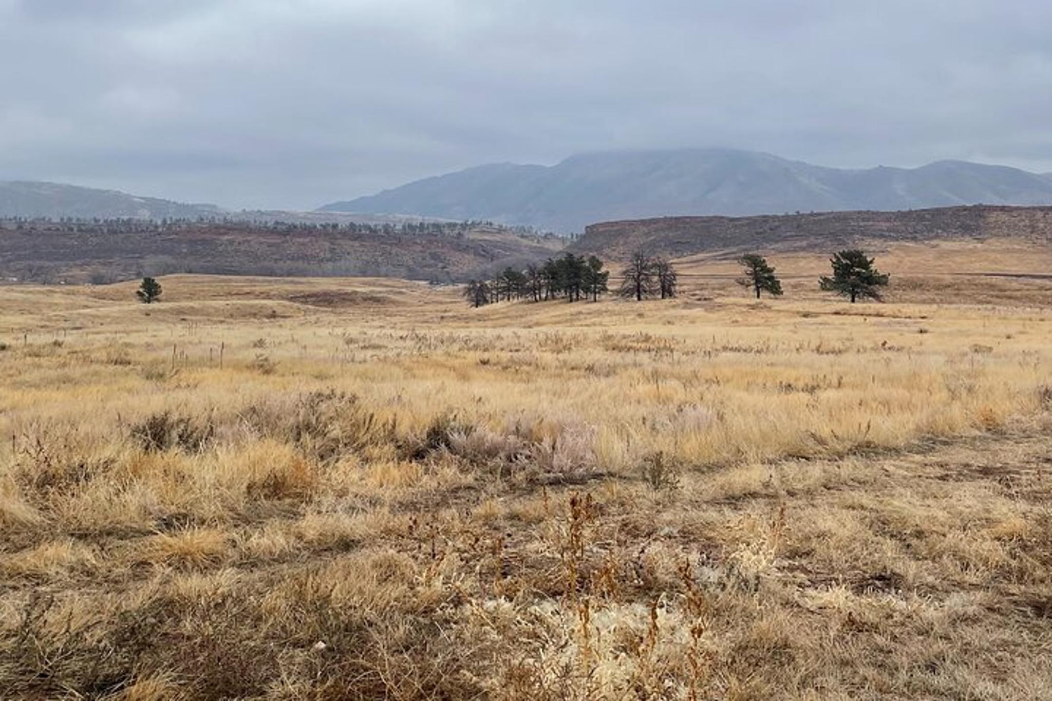 Fort Collins Hiking Tour - Image 4