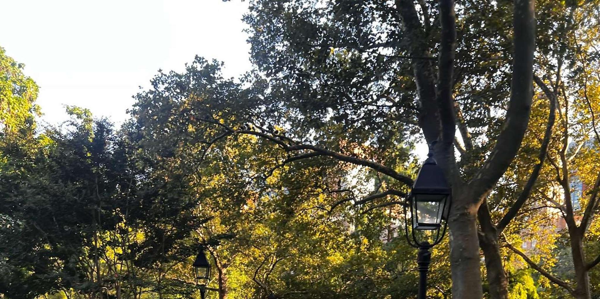 New York Dark Secrets Walking Tour 2 hr - Image 5