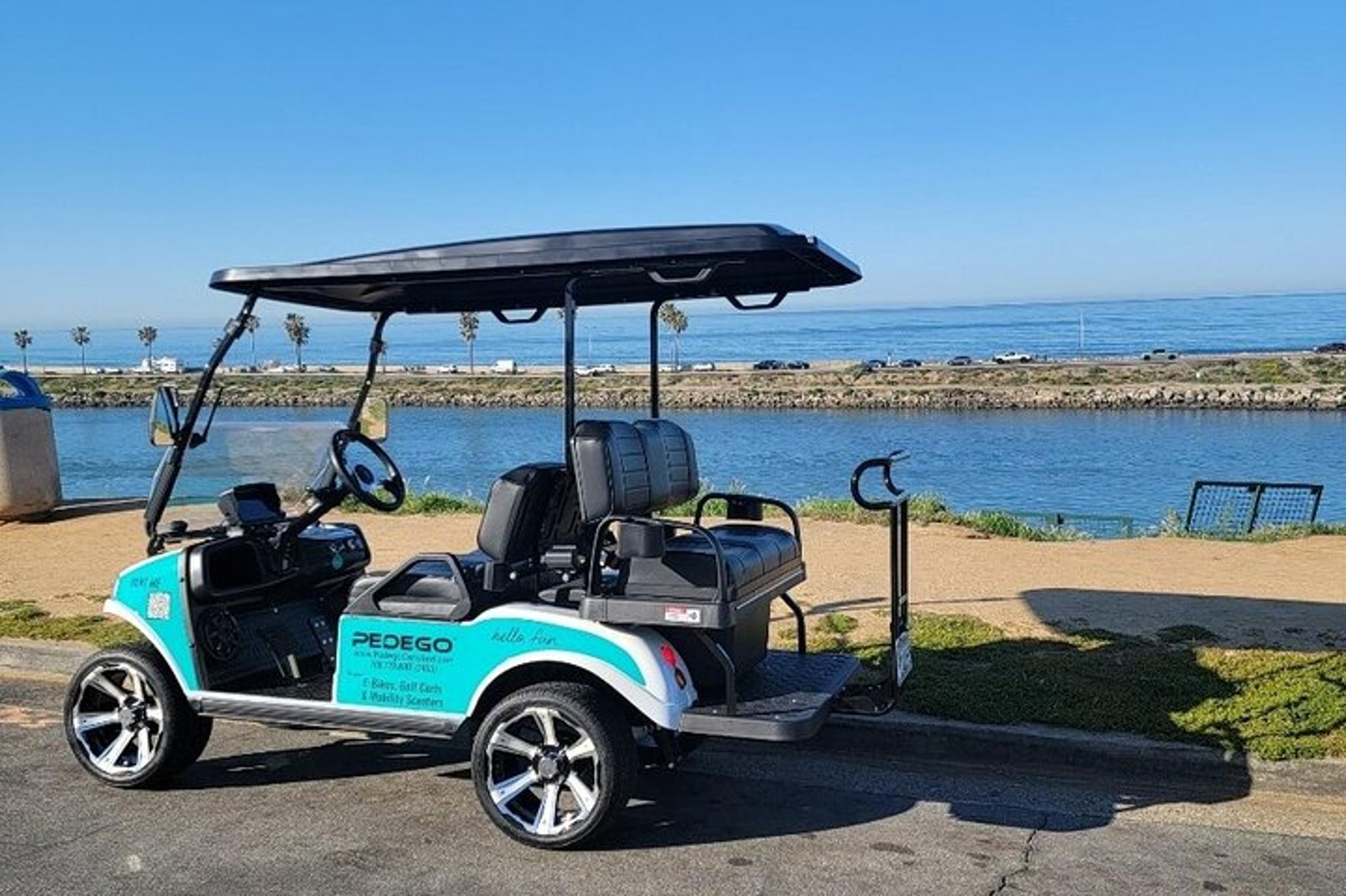 Carlsbad Golf Cart Rentals - Image 3