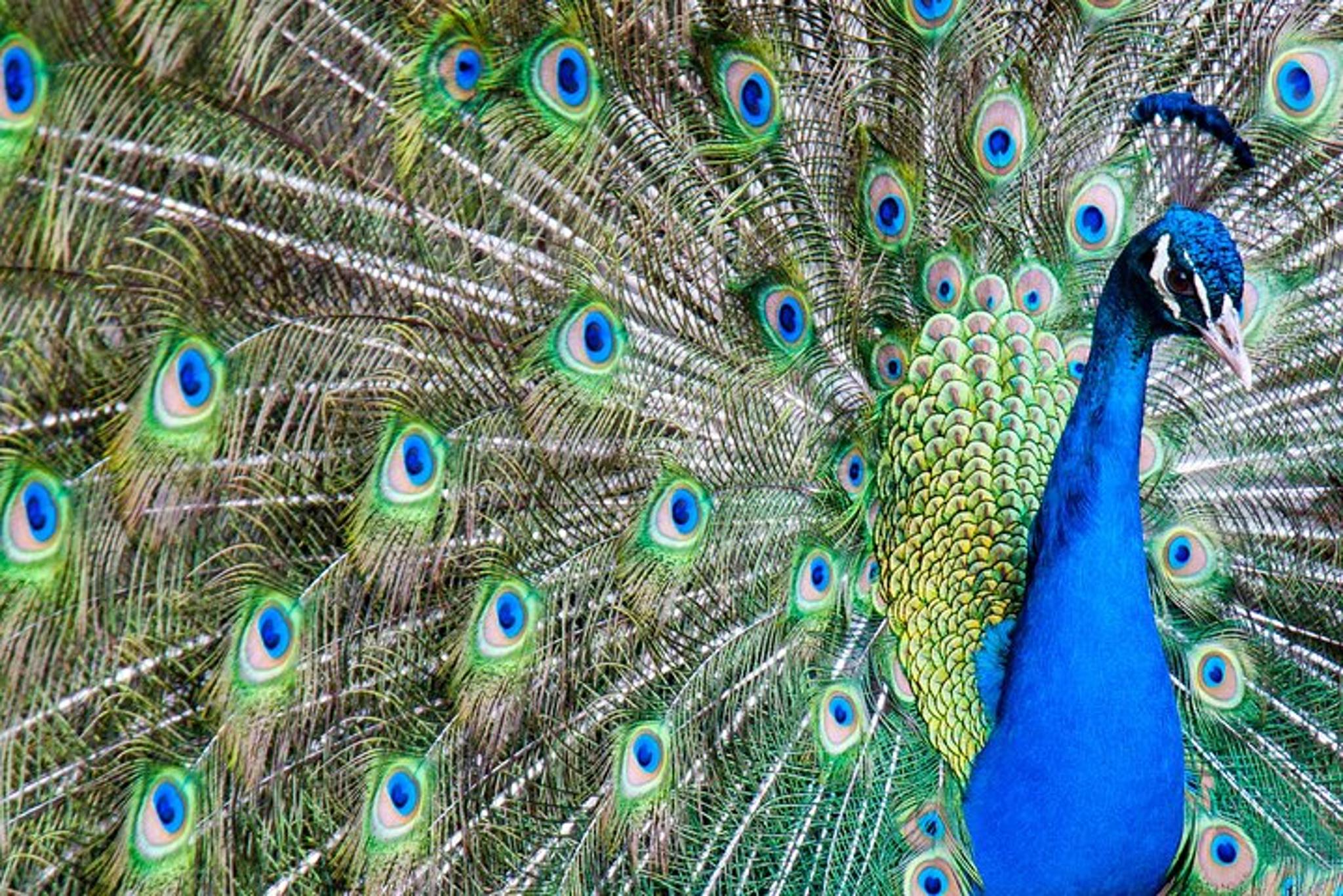 Gulf Shores Multi-Attraction Pass - Image 4