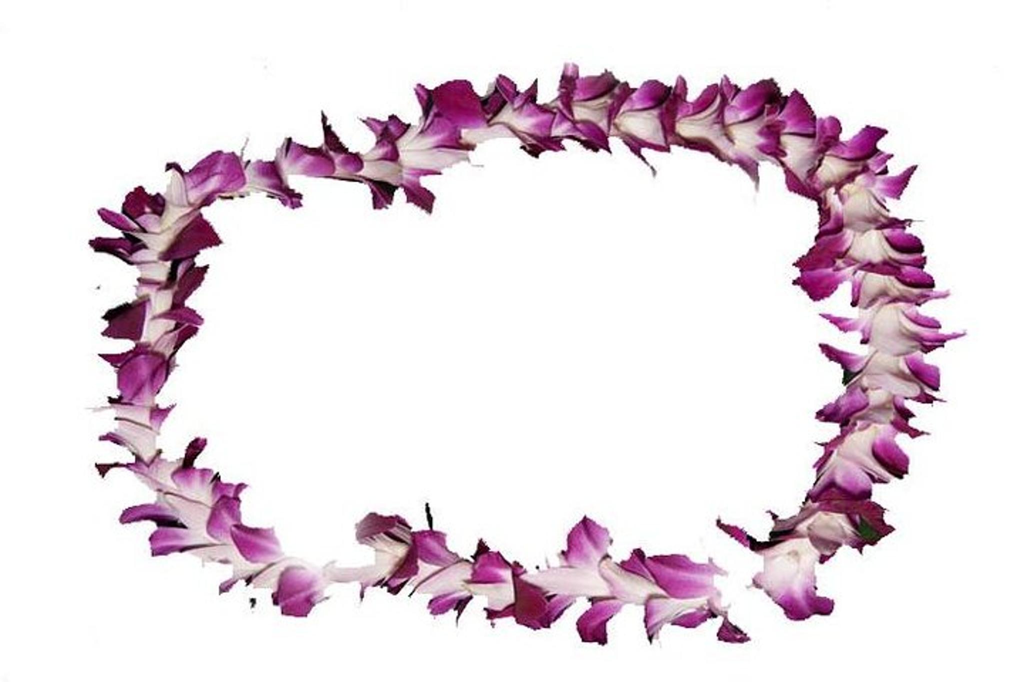 Honolulu Lei Greeting on Arrival - Image 2