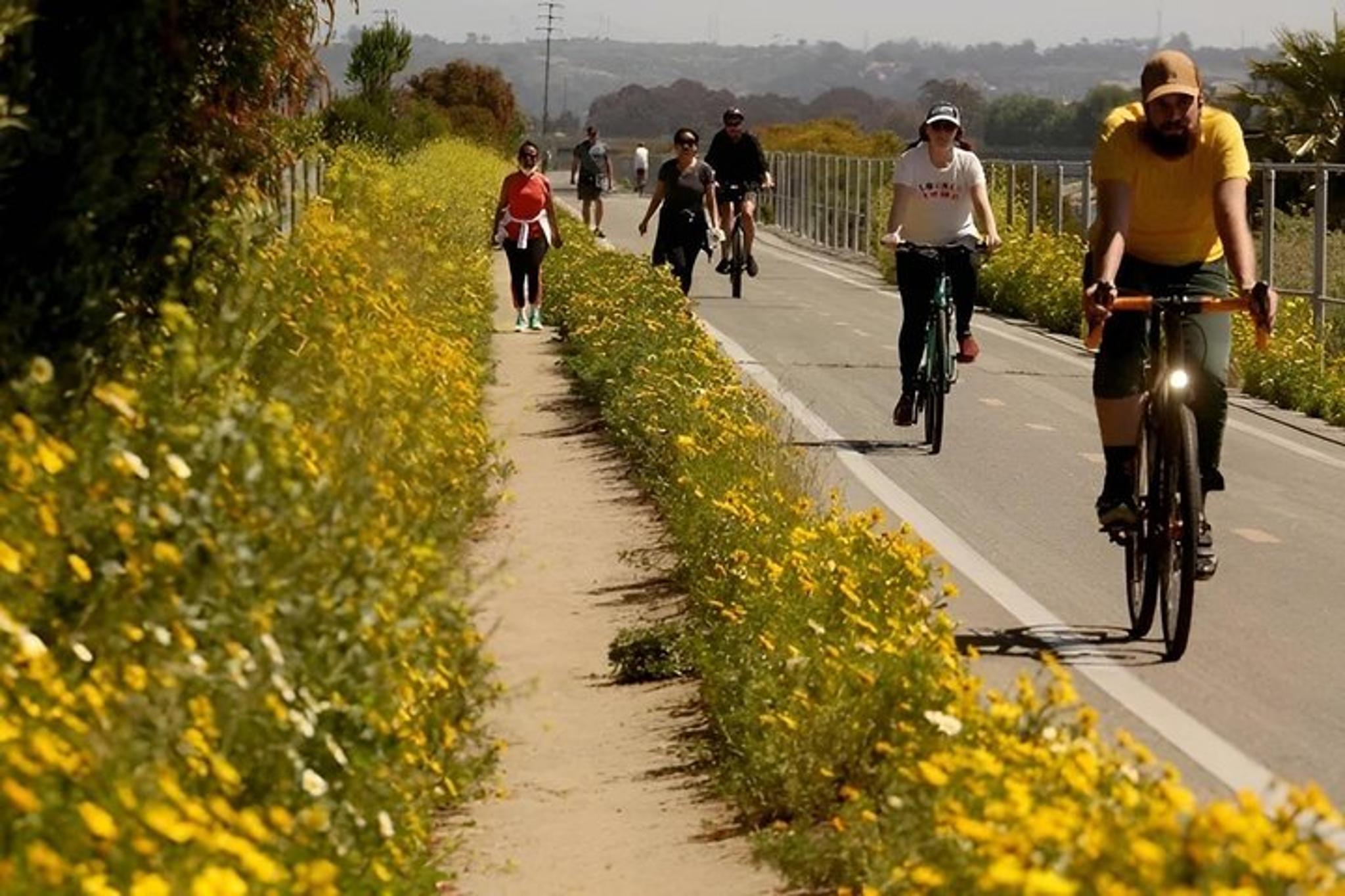 San Diego Bay to Ocean Bike Tour - Image 3