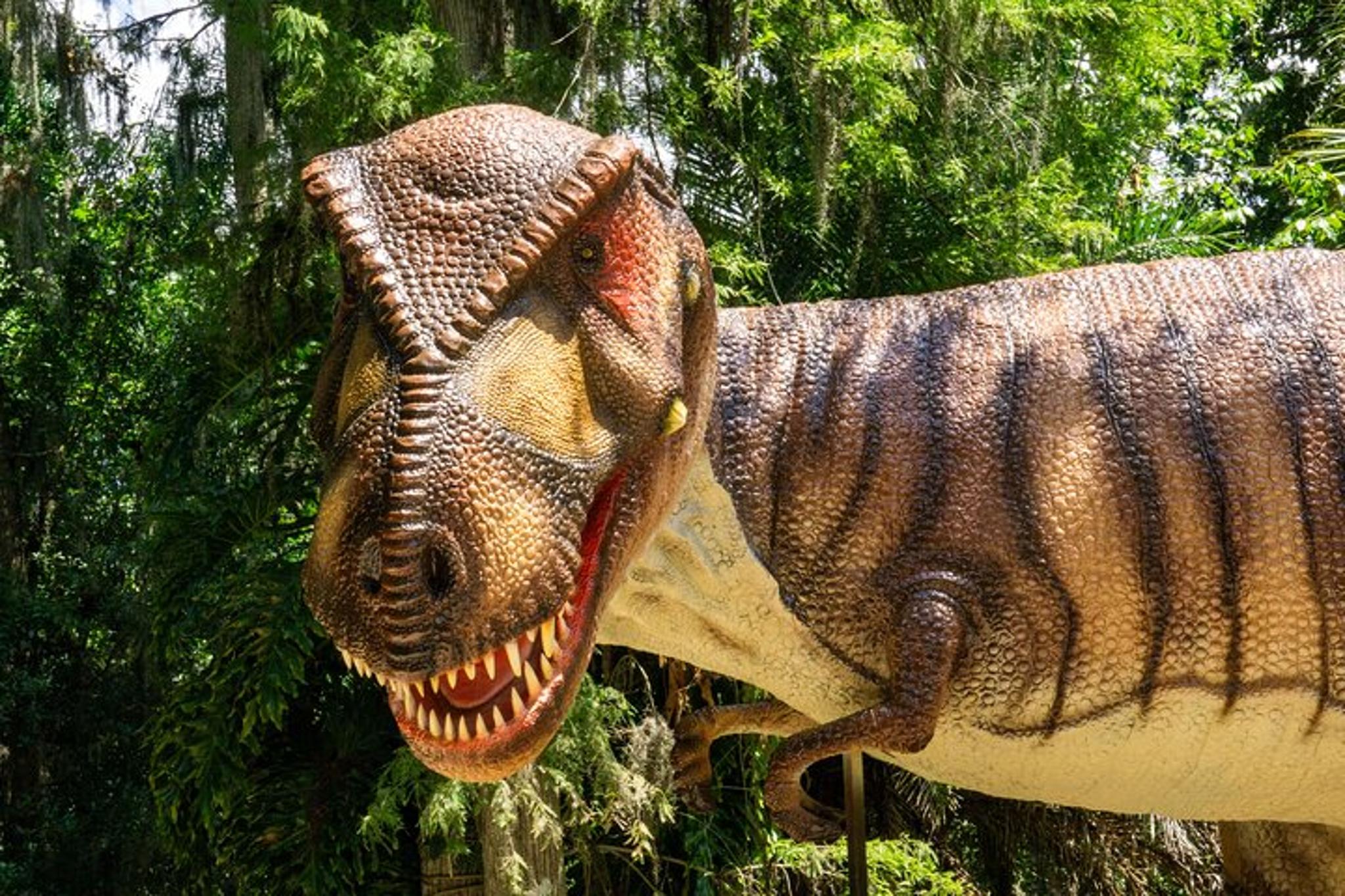 Glen Rose Dinosaur World - Image 6