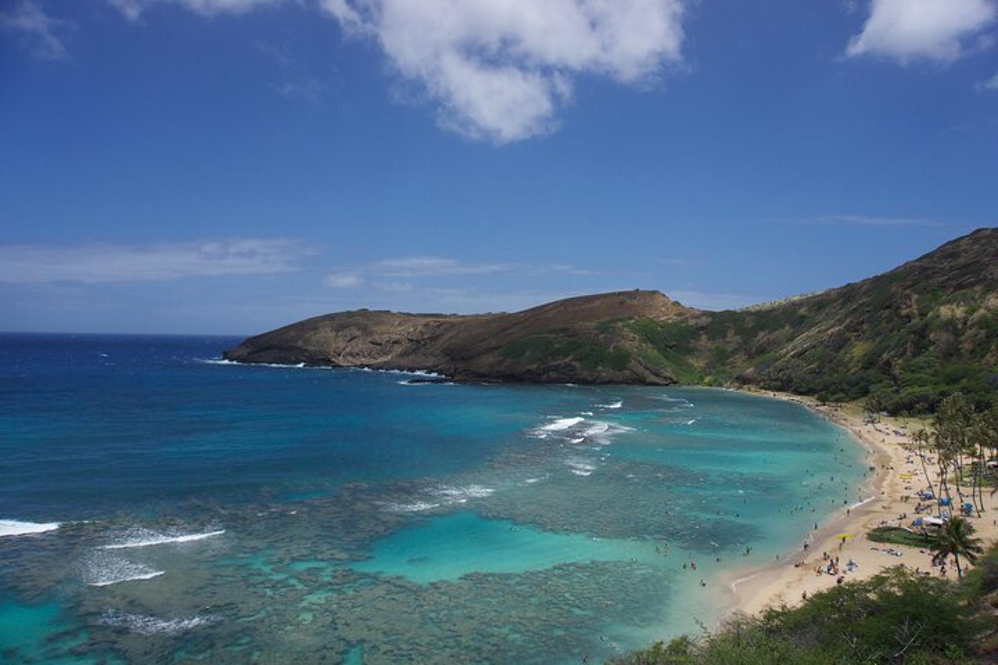 Oahu Private Tour for Up to 4 Guests - Image 4