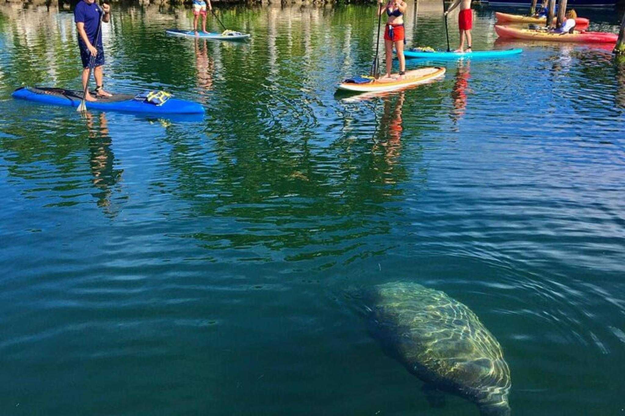 Key Largo Mangrove Kayak Rental