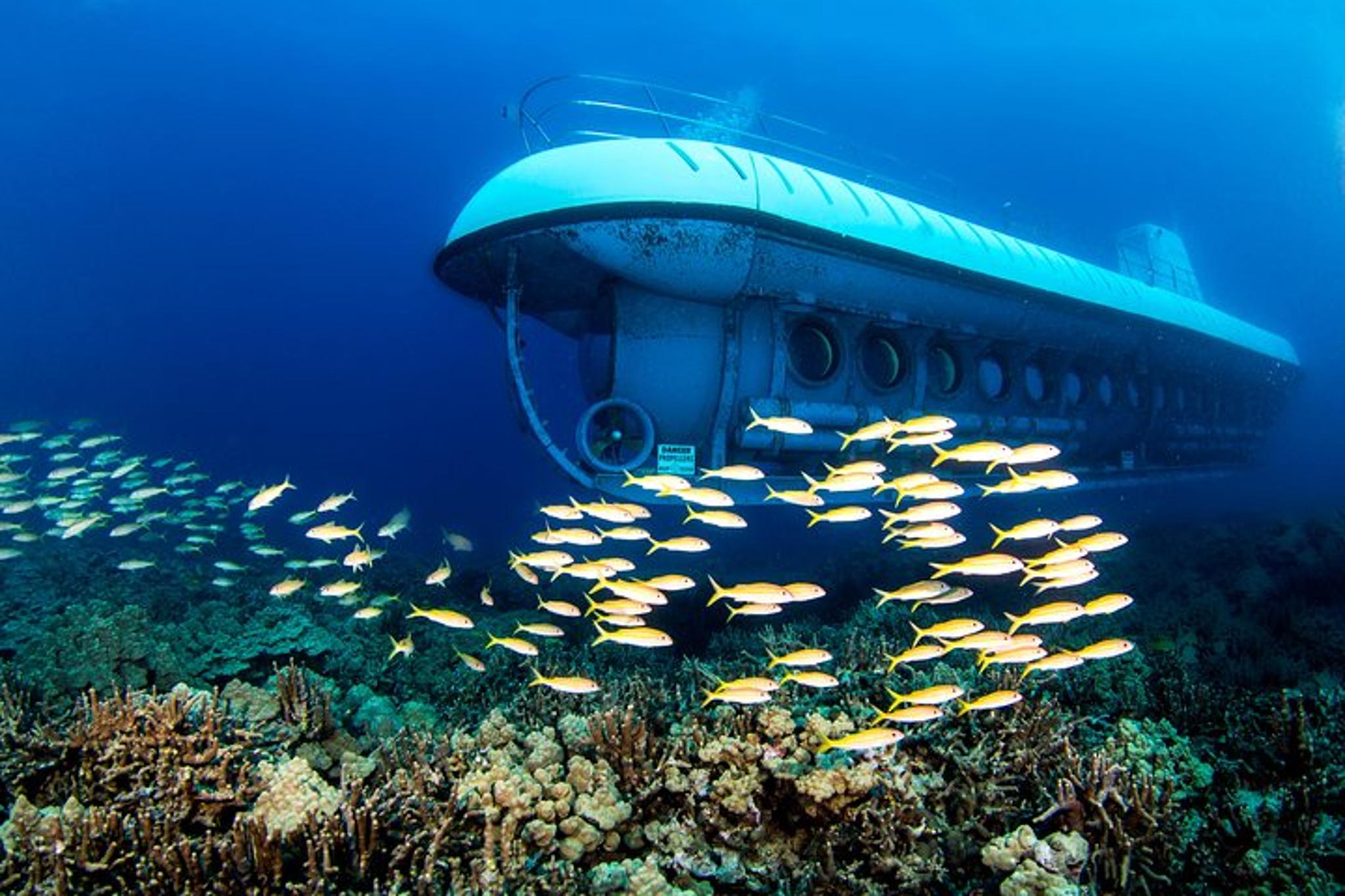 Kona Submarine Adventure - Image 6