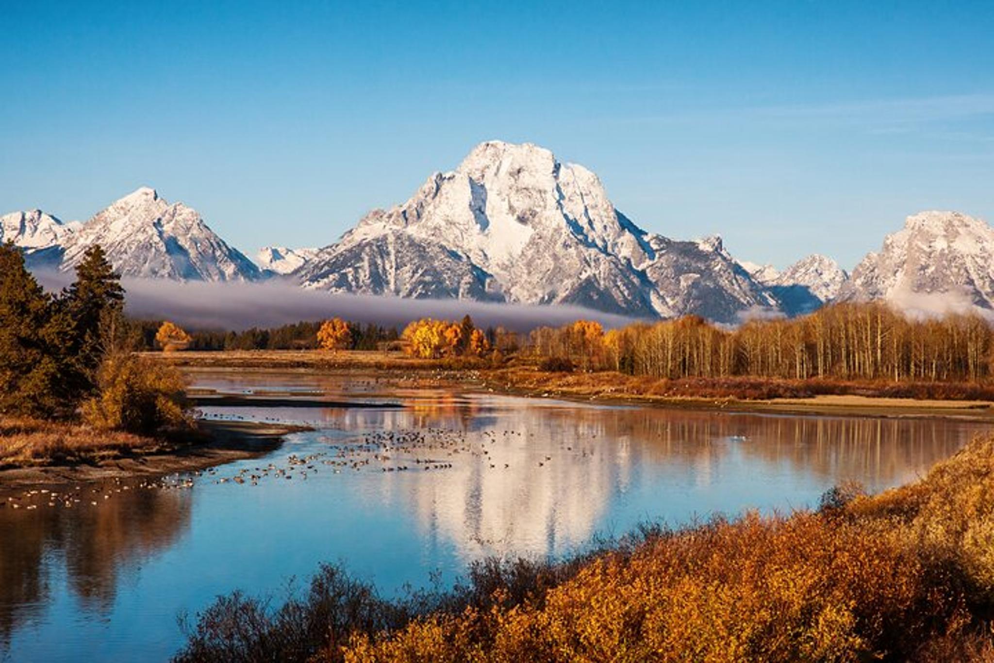 Bozeman Yellowstone and Teton Tour 3 Days