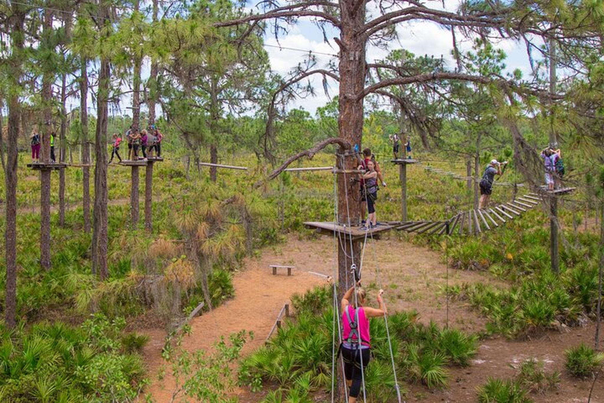 TreeUmph Adventure Course - Image 4