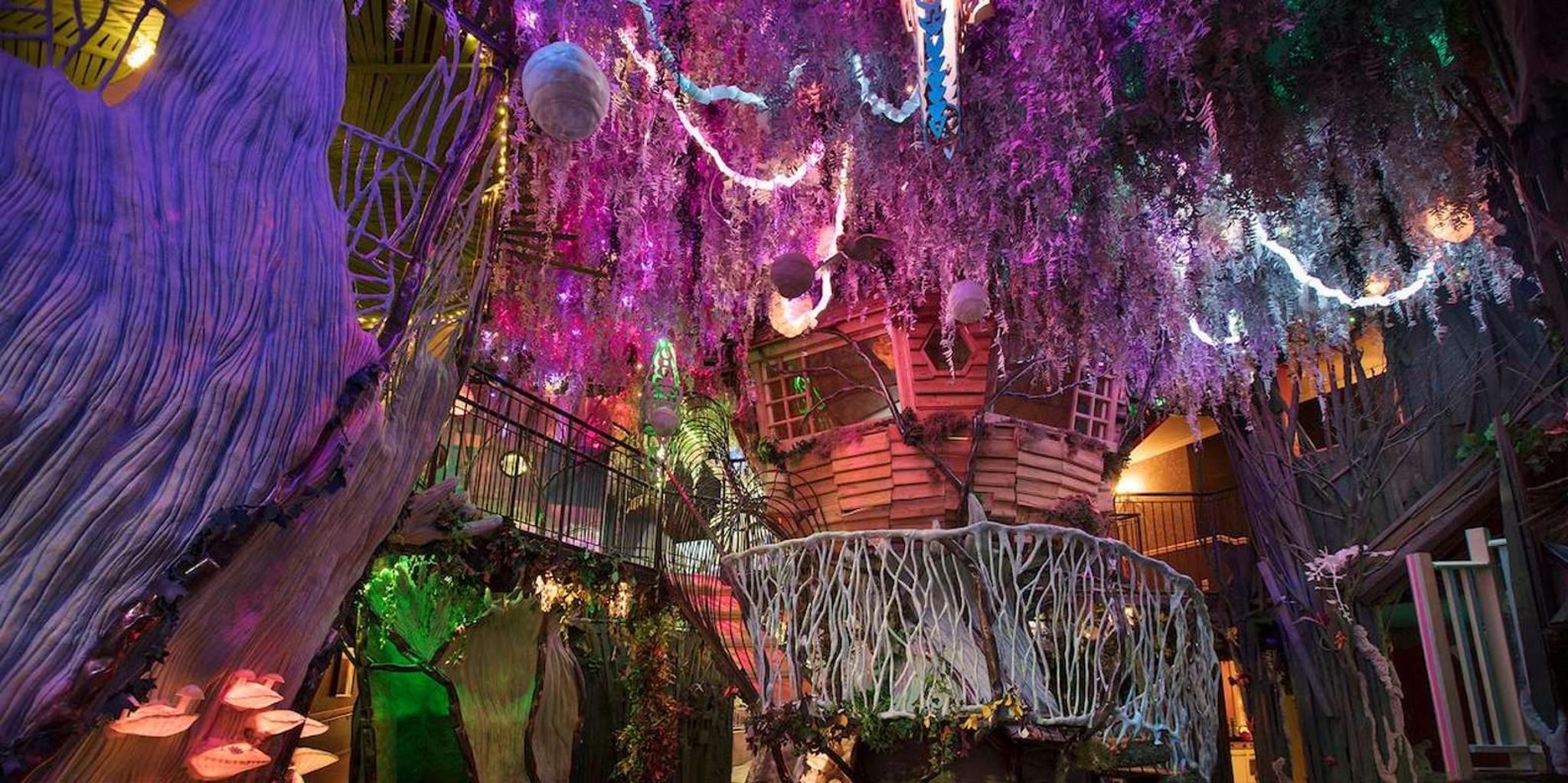 Santa Fe Meow Wolf House of Eternal Return Ticket