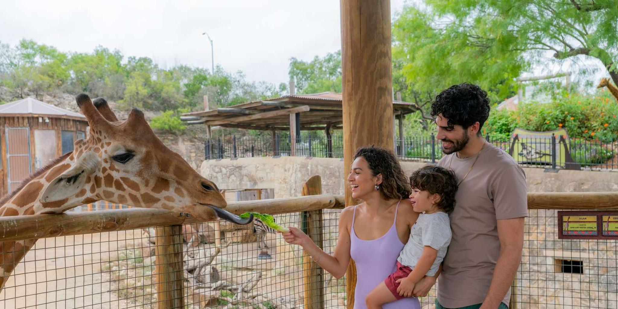San Antonio Zoo Any Day Admission - Image 4