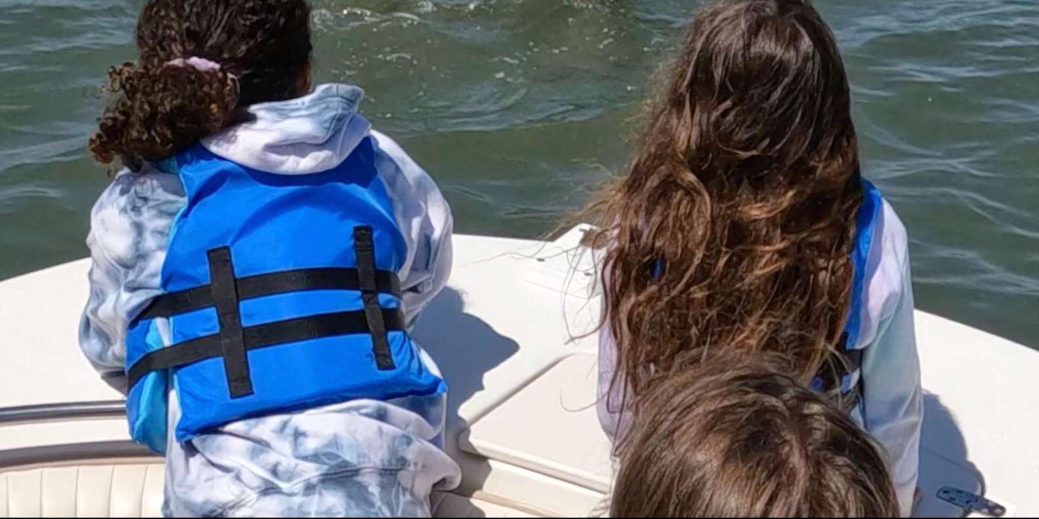 Hilton Head Island Dolphin and Nature Tour - Image 3