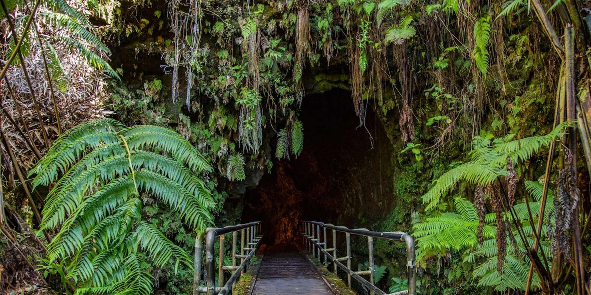 Big Island Volcanoes and Waterfalls Day Tour - Image 2