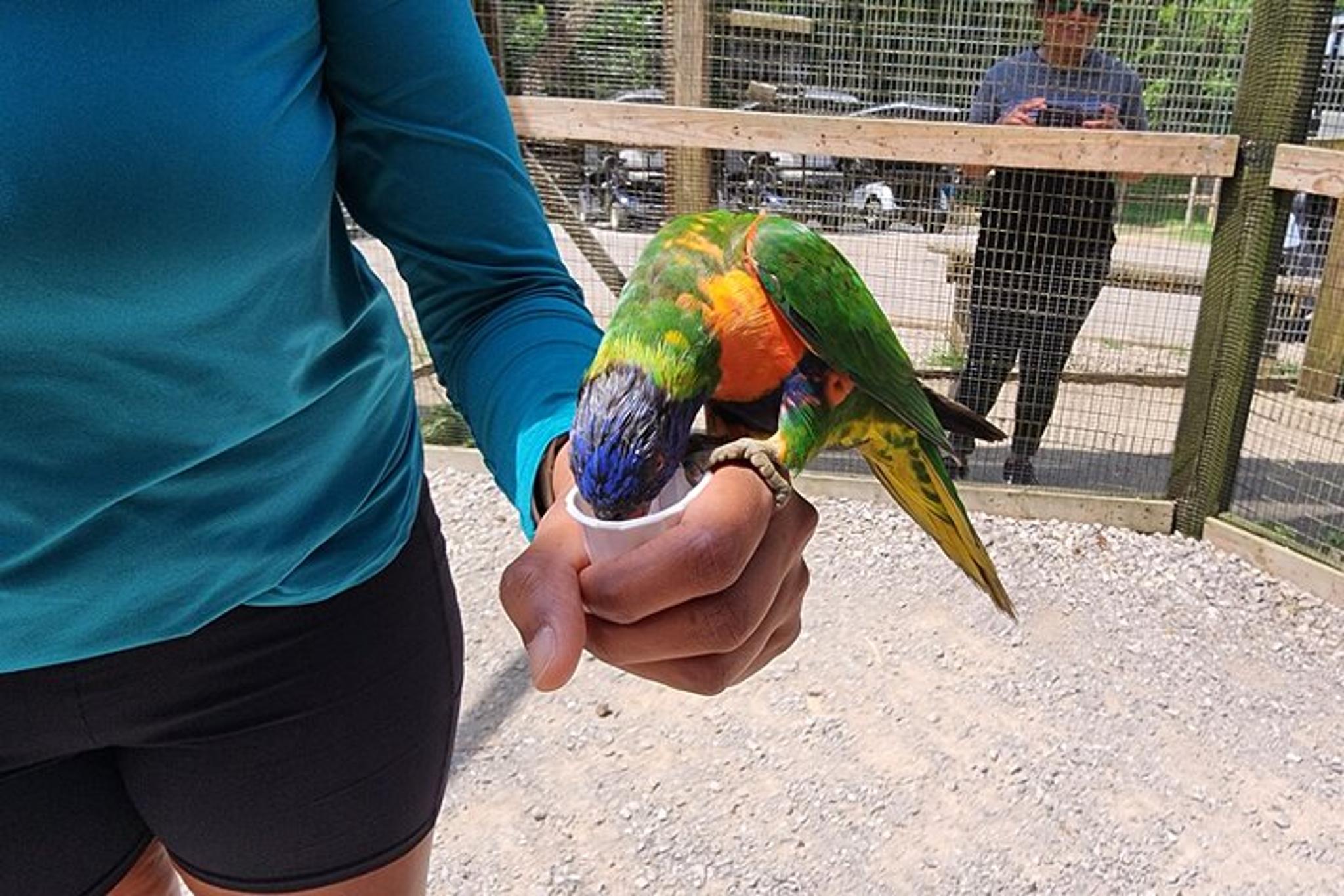 Nashville Kentucky Caves and Kangaroos Day Tour - Image 6