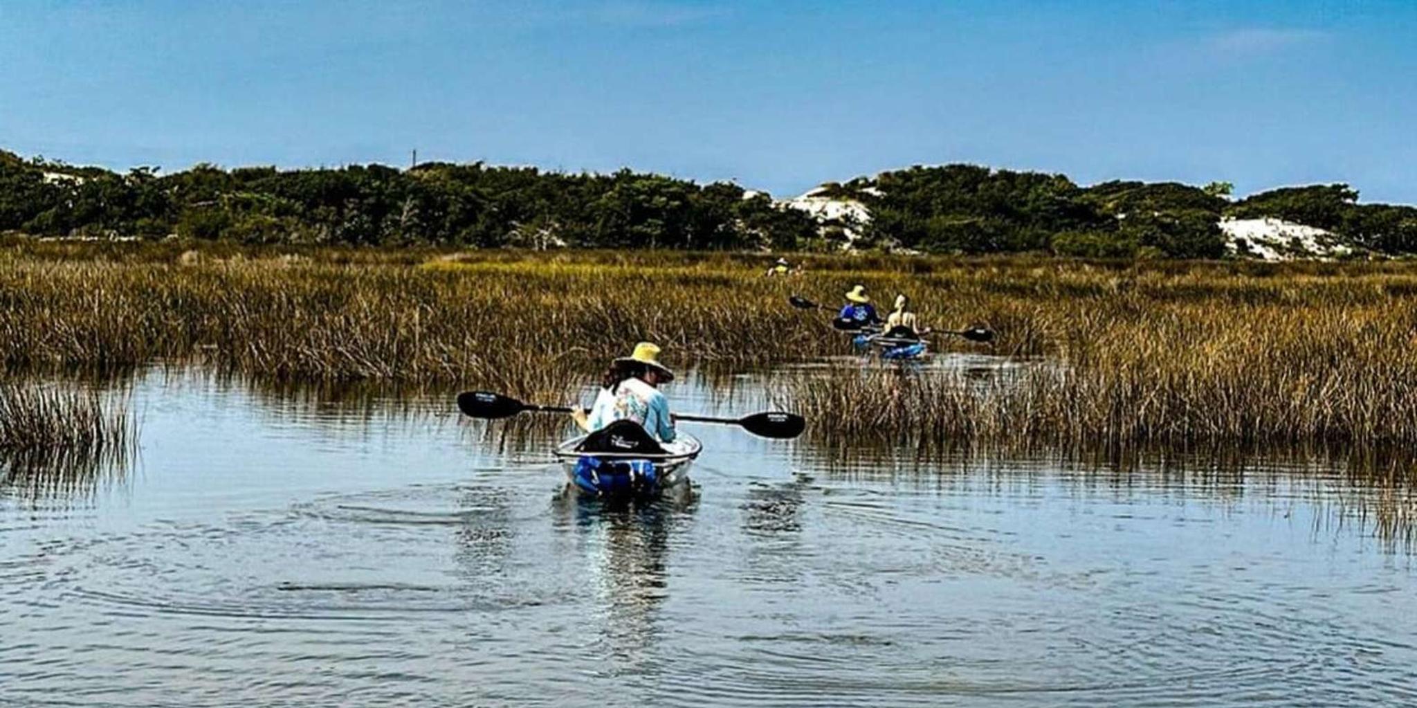Destin Clear Kayak Eco Tour with Island Stops 2 hr - Image 1