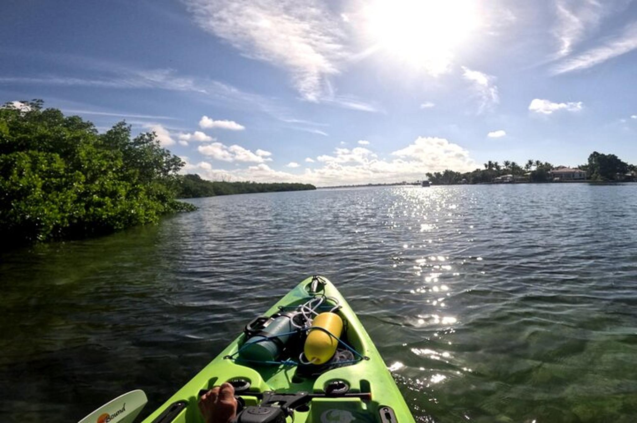 Sarasota Kayak Tour at Sunset 2 hr - Image 3