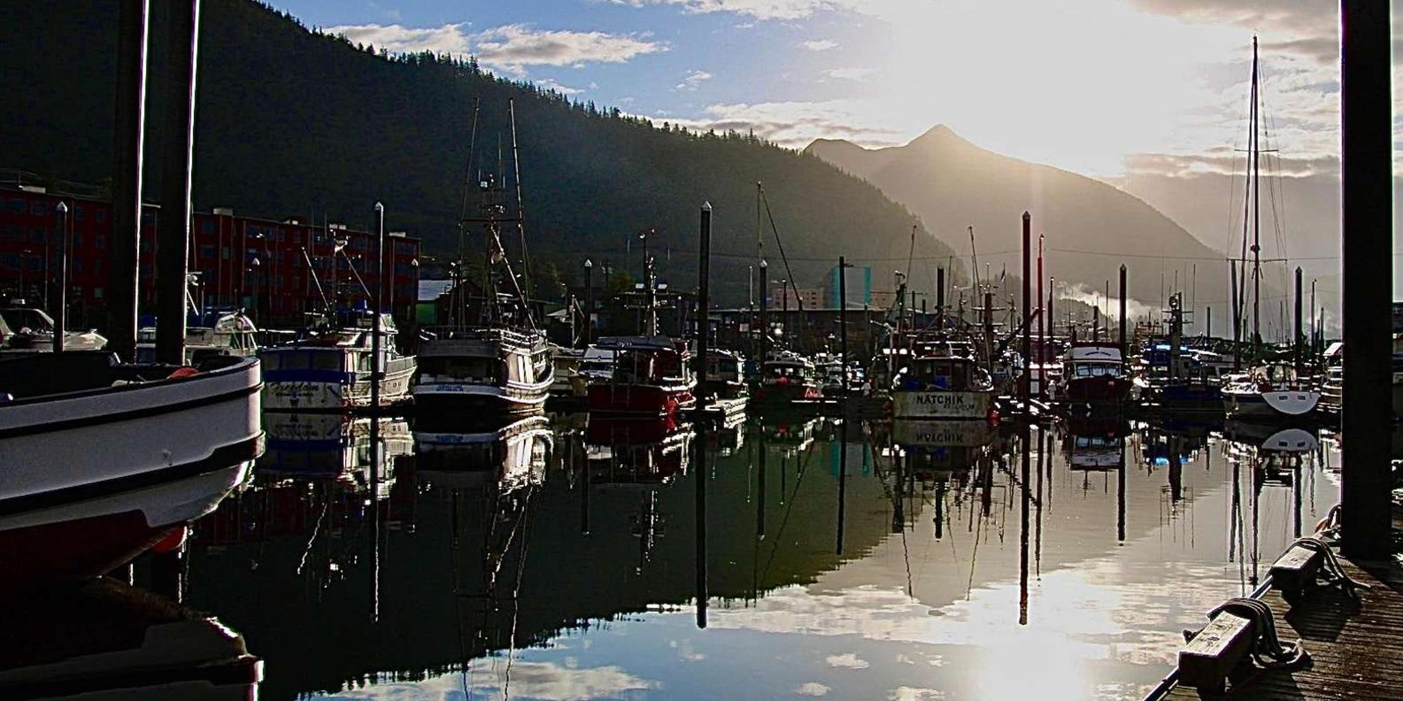 Ketchikan Photo Safari - Image 5
