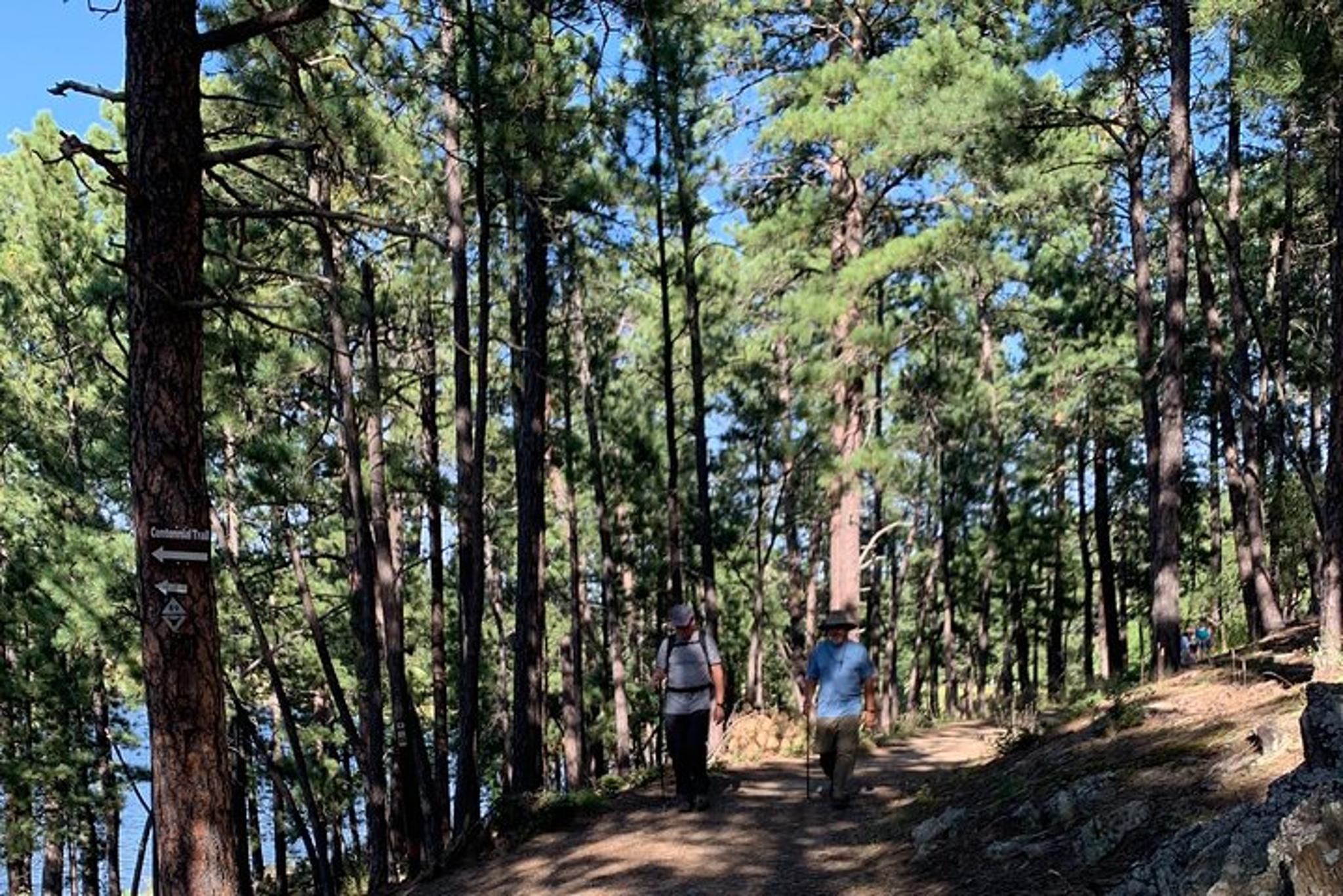 Mount Rushmore Flume Trail Hike - Image 5