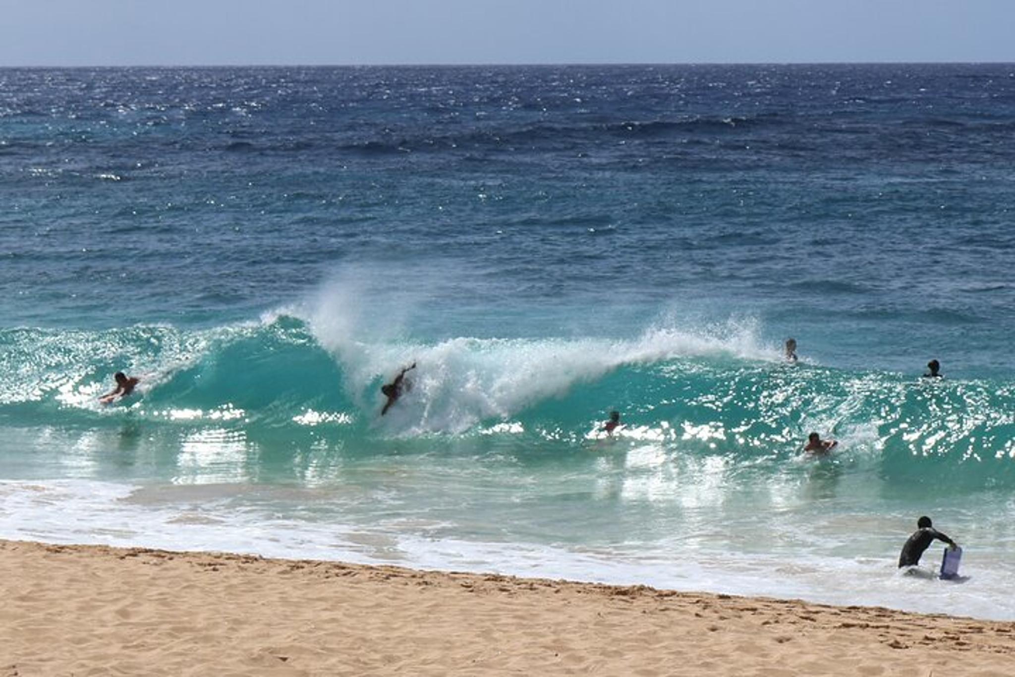 Oahu Scenic Tour to North Shore Half-Day - Image 1
