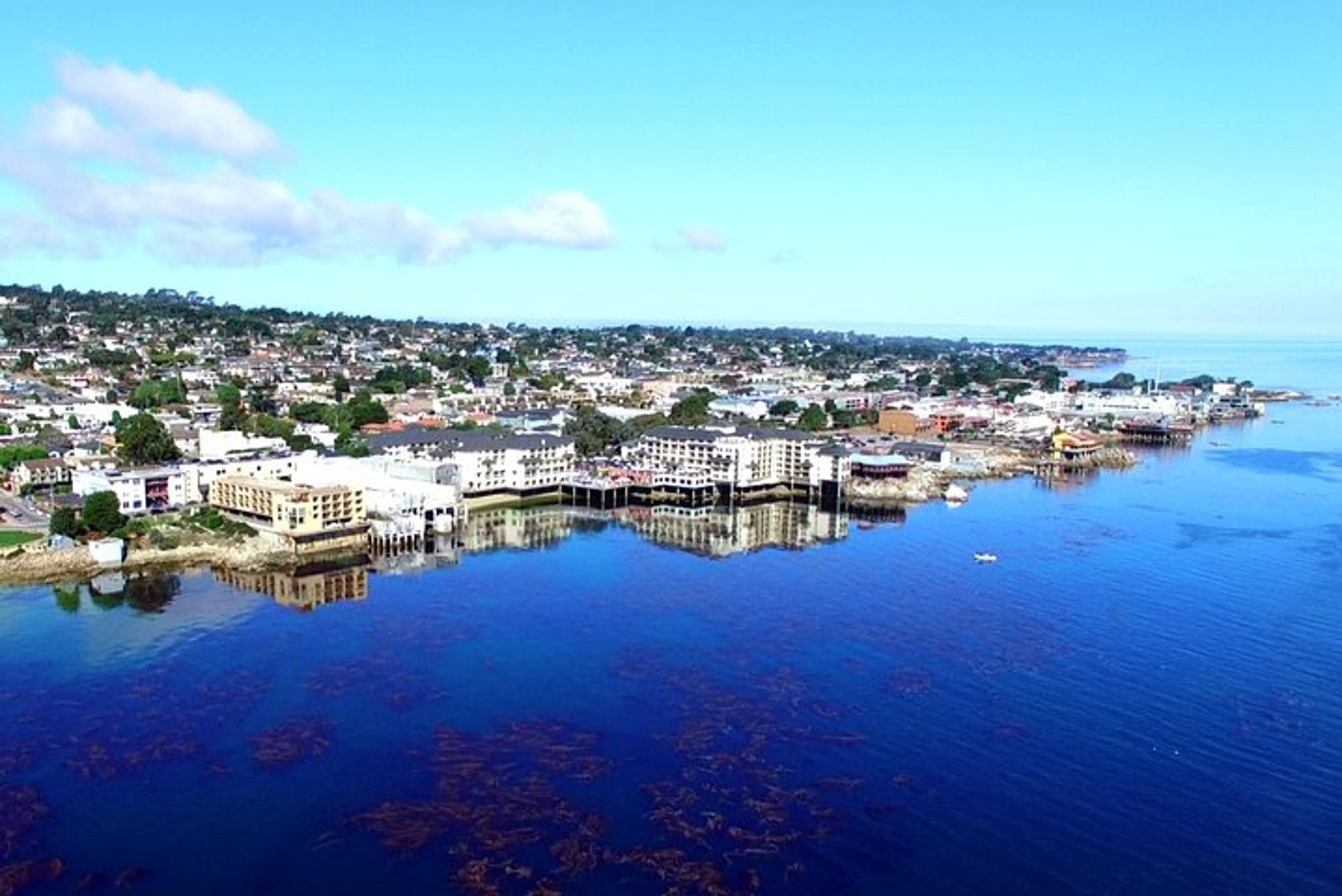 Monterey Bay Kayak Rental: Otters, Seals, and Sea Lions - Image 6