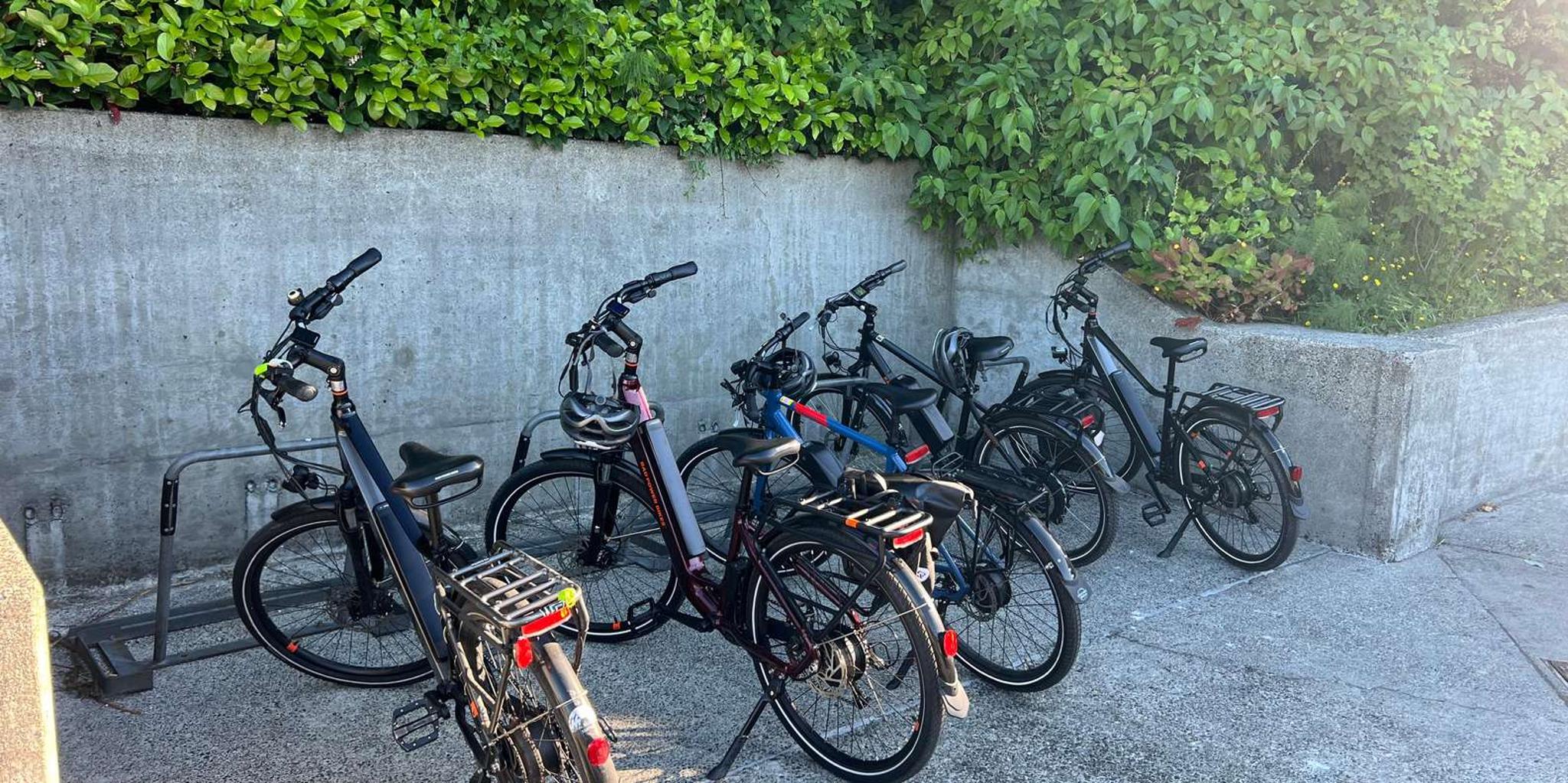 Seattle Bicycle Tour - Image 3